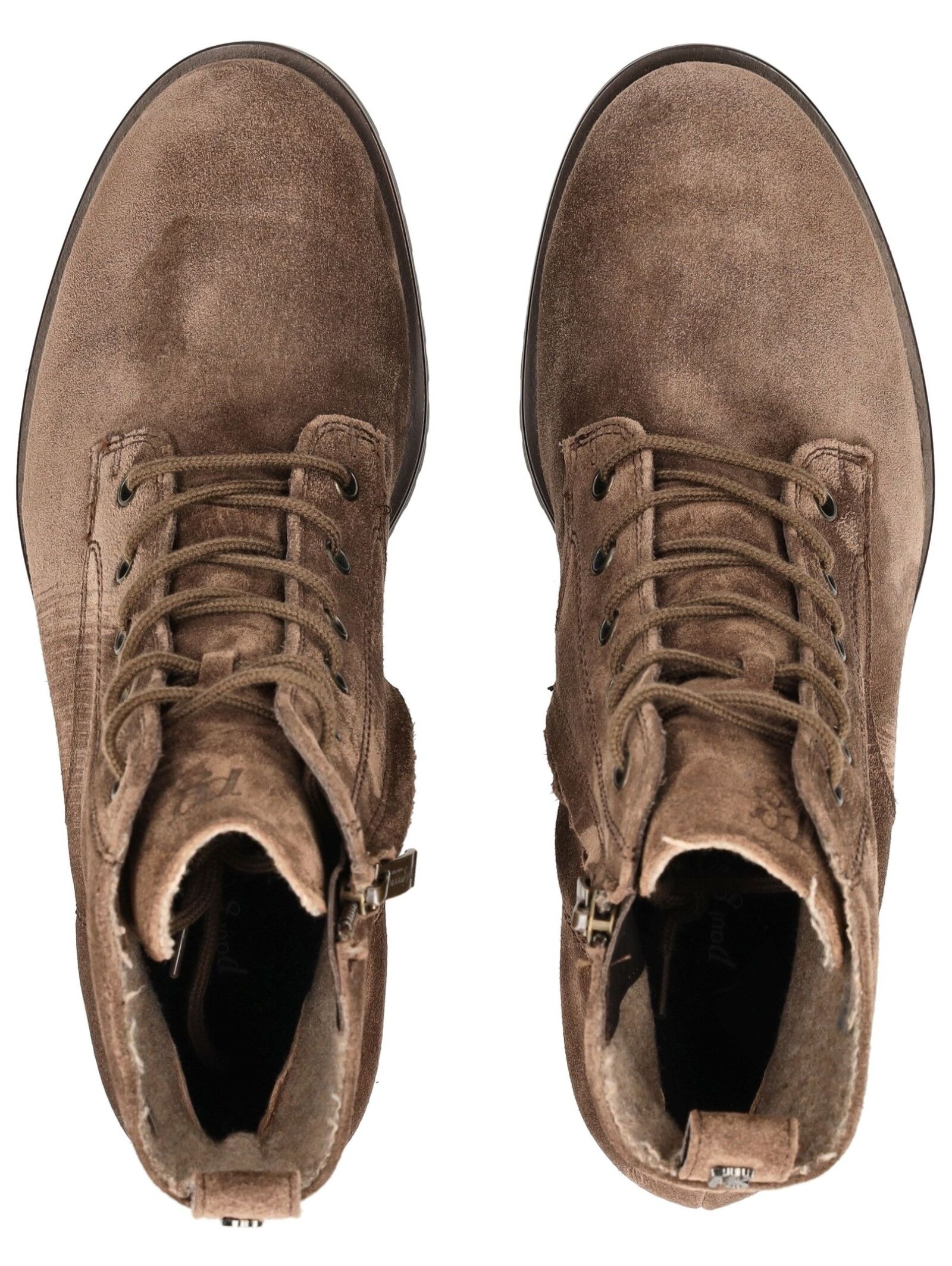 Paul Green Schnürstiefelette »Paul Green Stiefelette Veloursleder«
