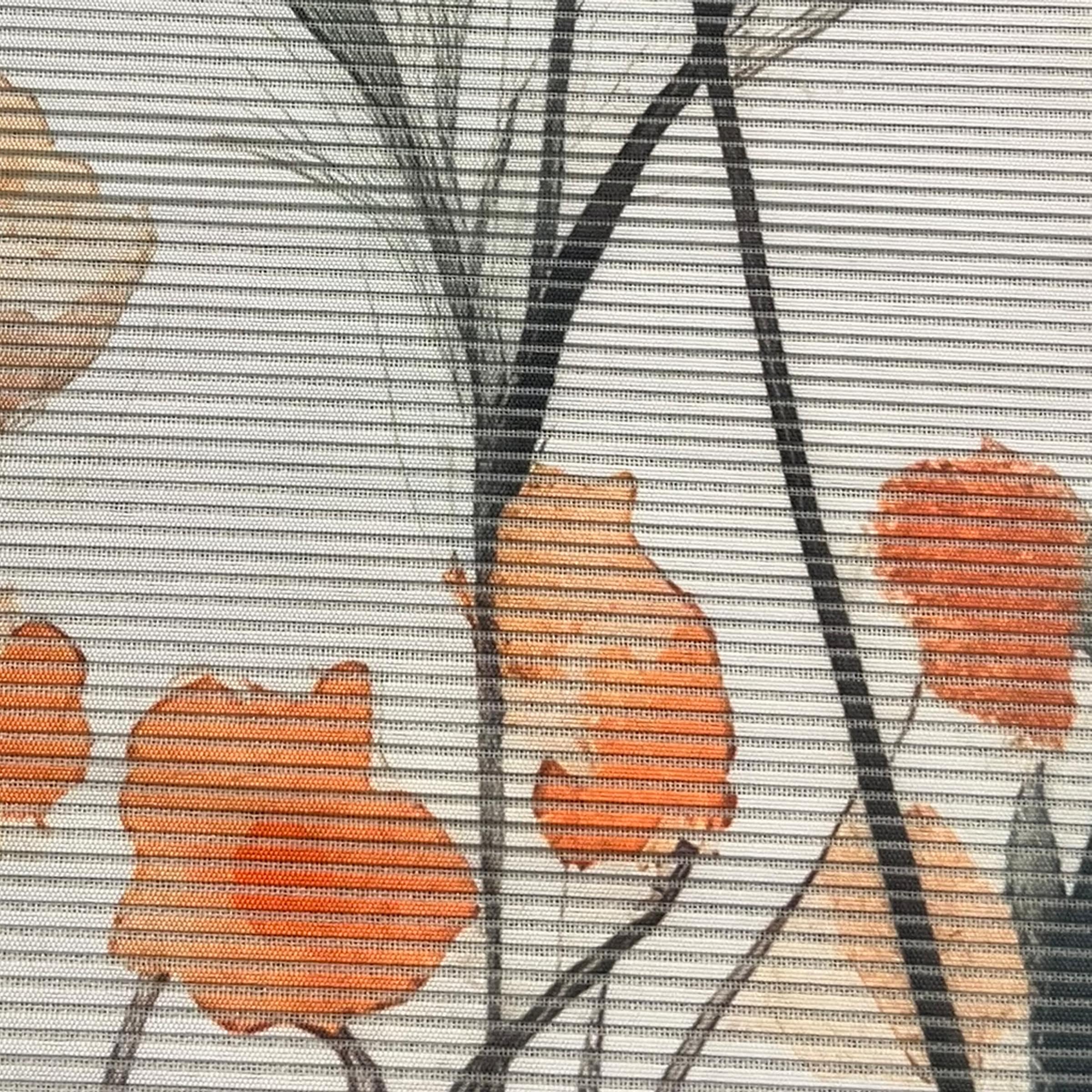 Vision S Schiebegardine »PRARIE« Paneelwagen 1 Stk. tlg. digital bedruckt