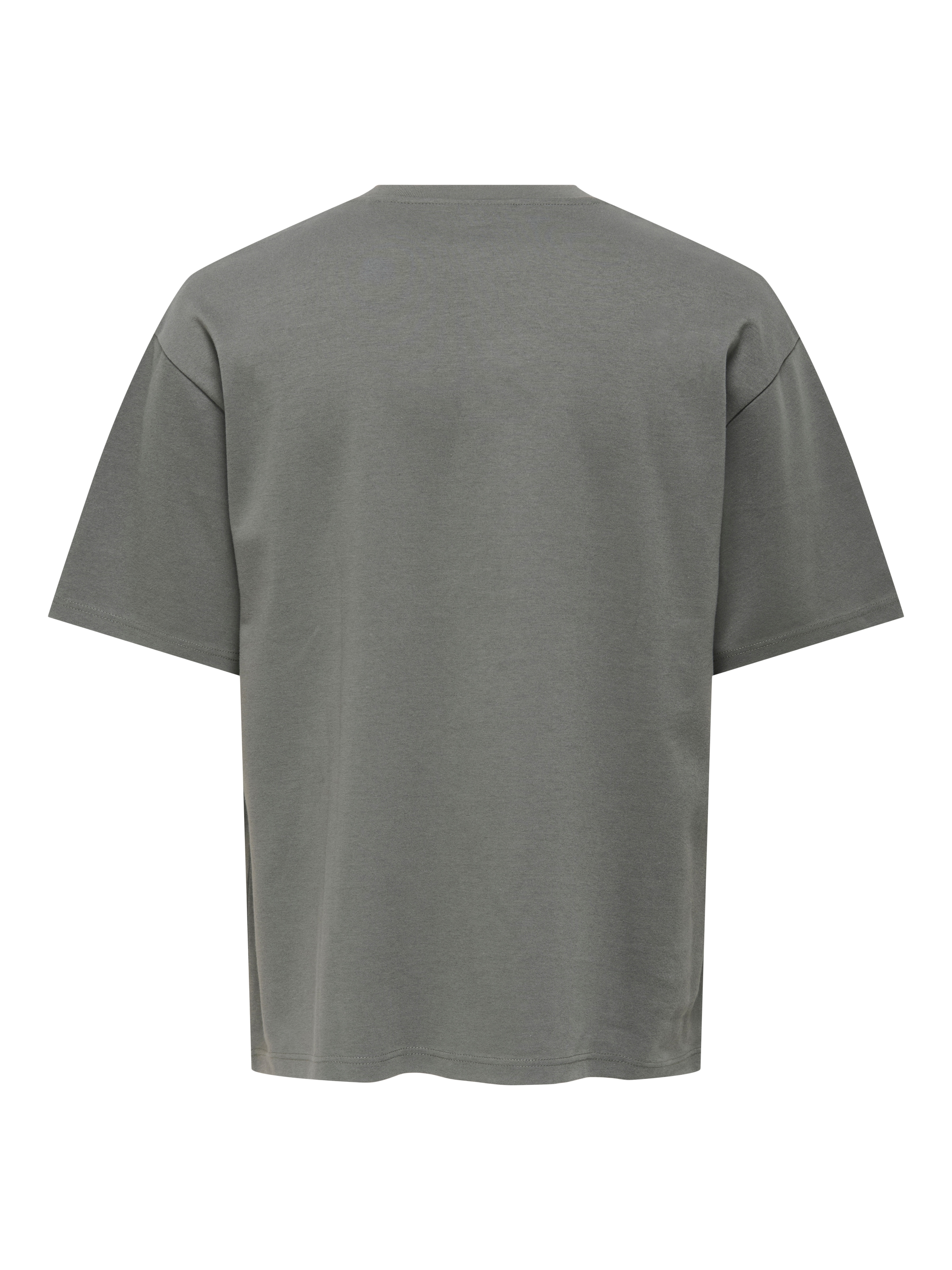 ONLY & SONS Rundhalsshirt »ONSCASPIAN AUT SS TEE«