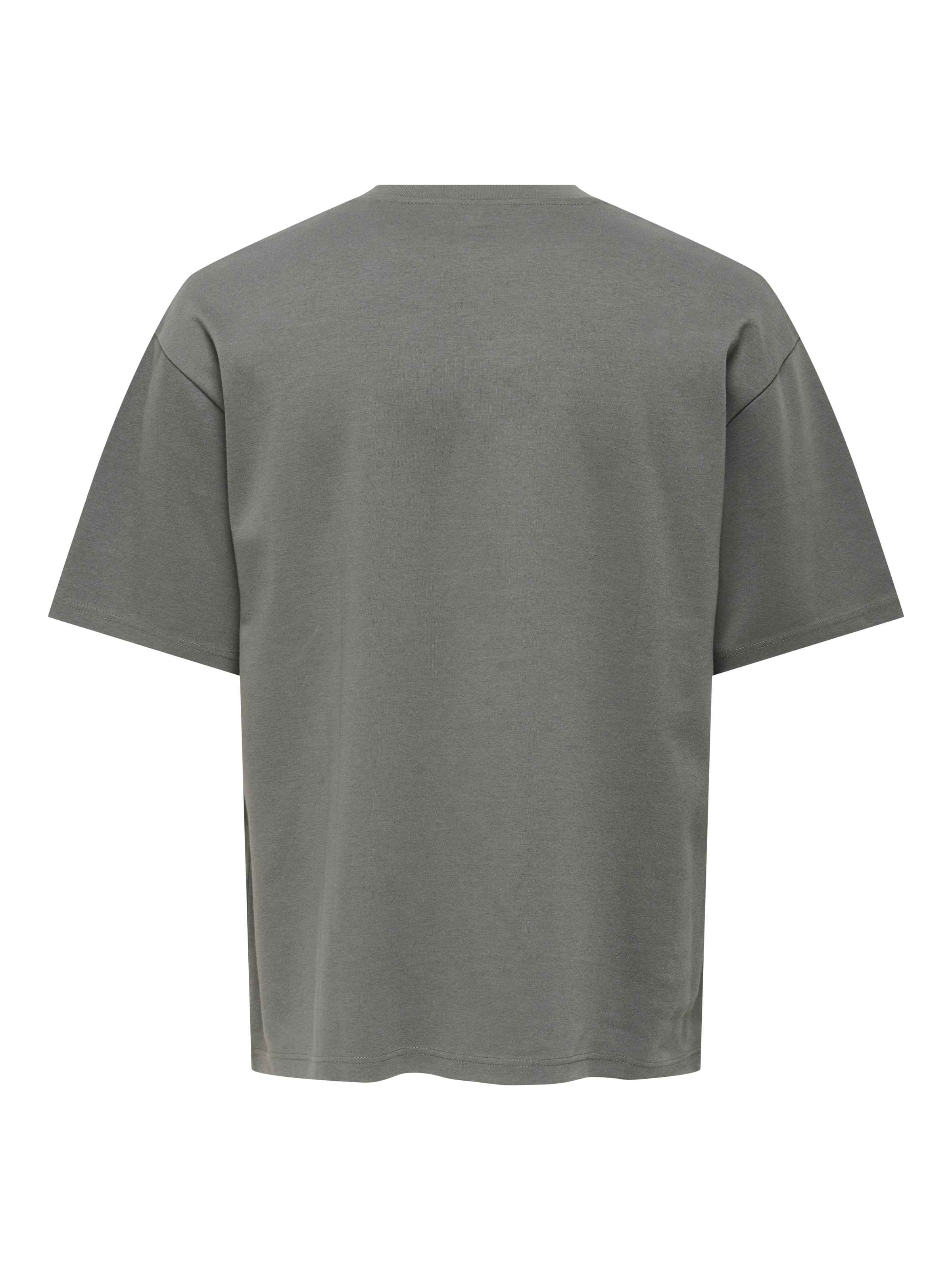 ONLY & SONS Rundhalsshirt "ONSCASPIAN AUT SS TEE" günstig online kaufen
