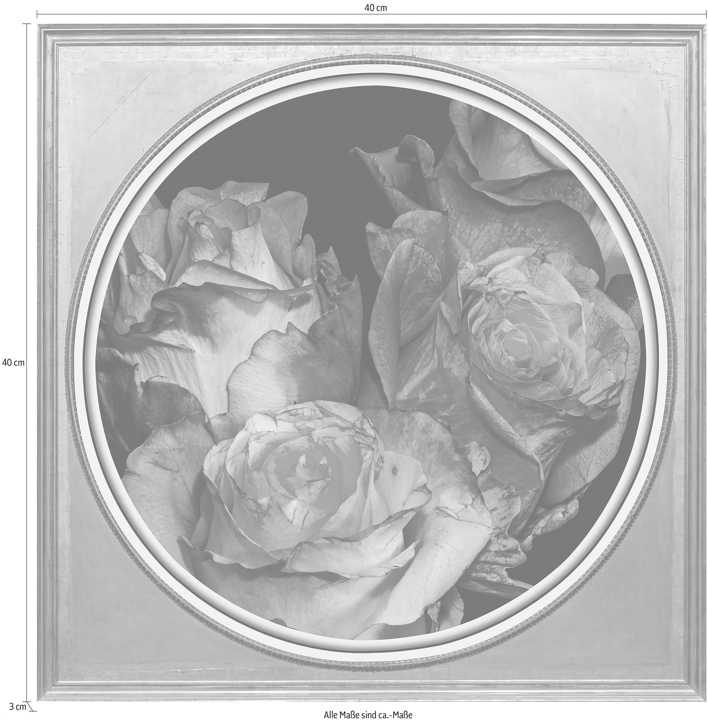 queence Acrylglasbild »Getrocknete Rosen«, Blumen-Blumenbilder-Kunst-Pflanzen-Pflanzenbilder-Gemälde, Fine Art-Print in Galeriequalität