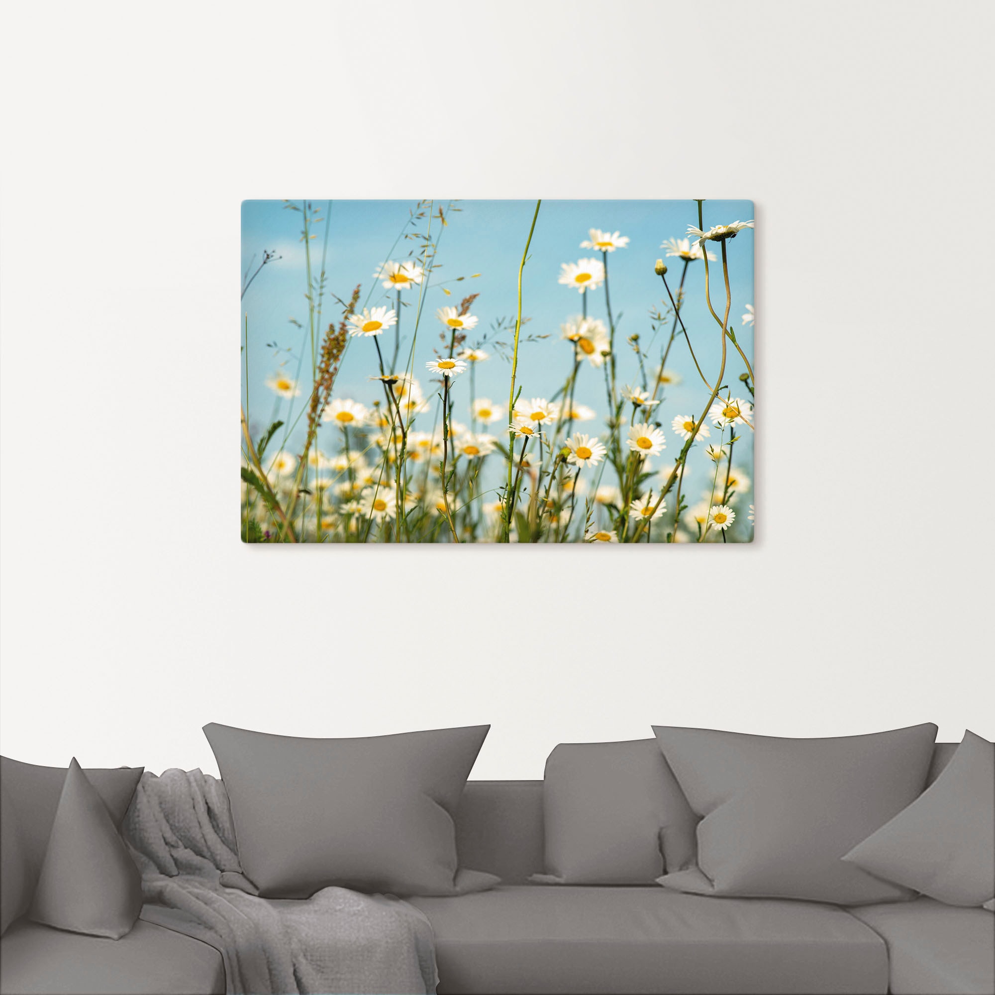 Artland Wandbild »Margeriten vor Sommer Himmel«, Blumenbilder, (1 St.), als Leinwandbild, Wandaufkleber in verschied. Größen