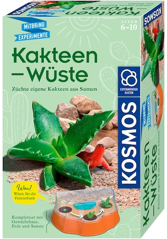 Experimentierkasten »Kakteen-Wüste«