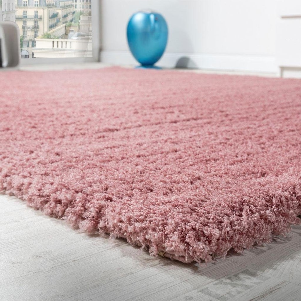 Paco Home Hochflor-Läufer »Avantgarde 550«, rechteckig