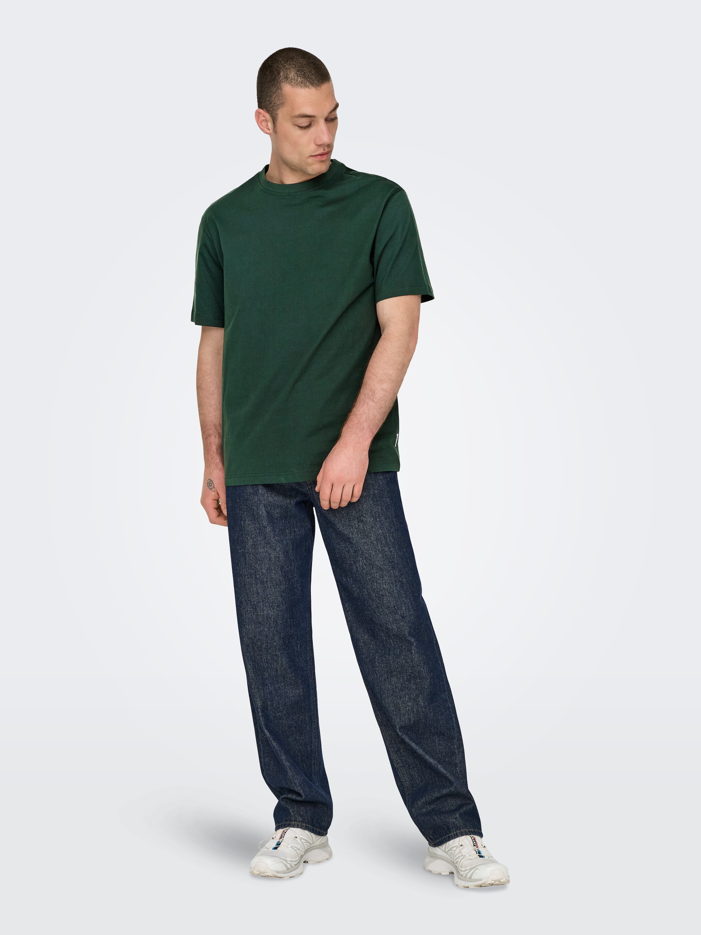 ONLY & SONS Rundhalsshirt »ONSFRED RLX SS TEE«