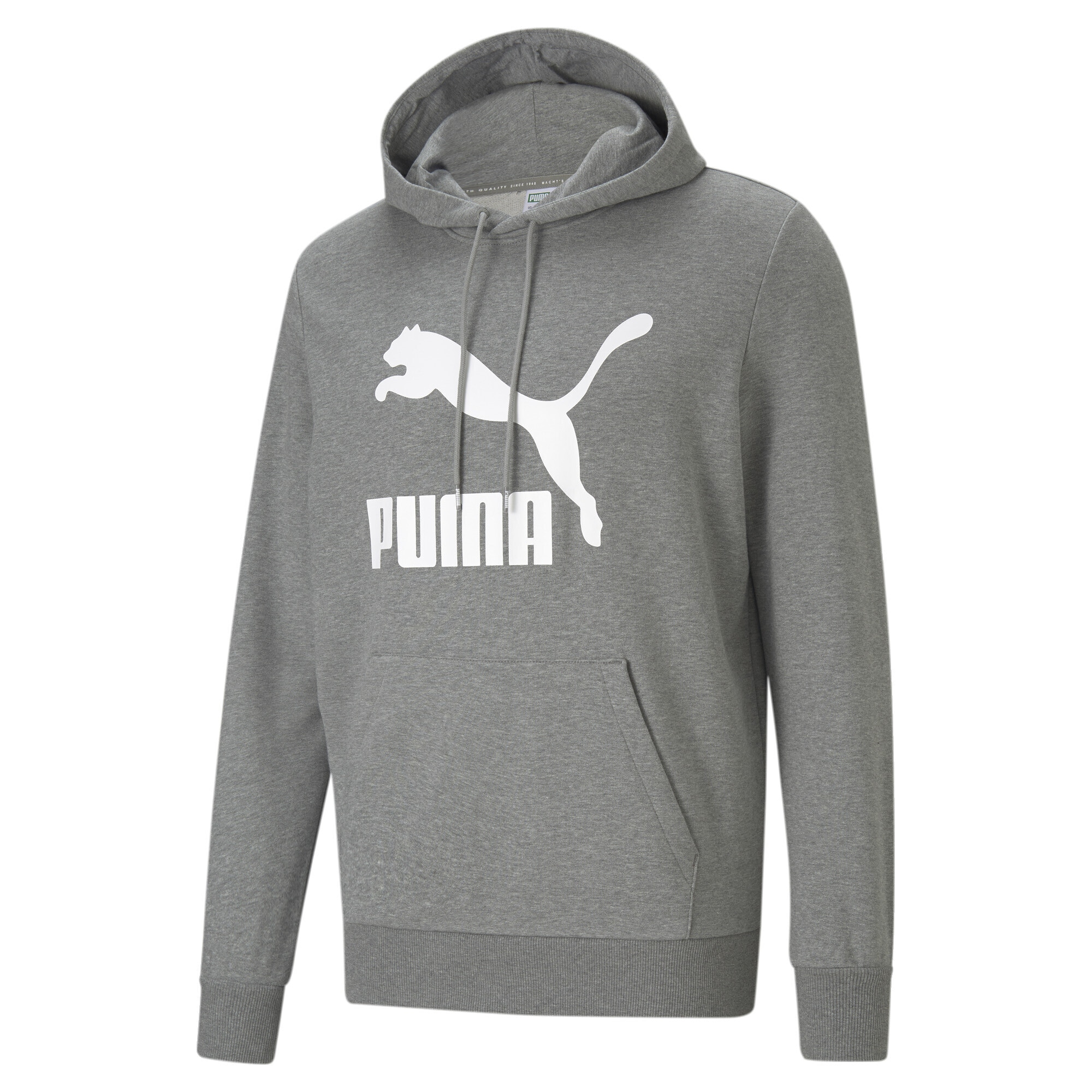 PUMA Sweatshirt »Classics Logo ▷ Herren« BAUR Hoodie bestellen 