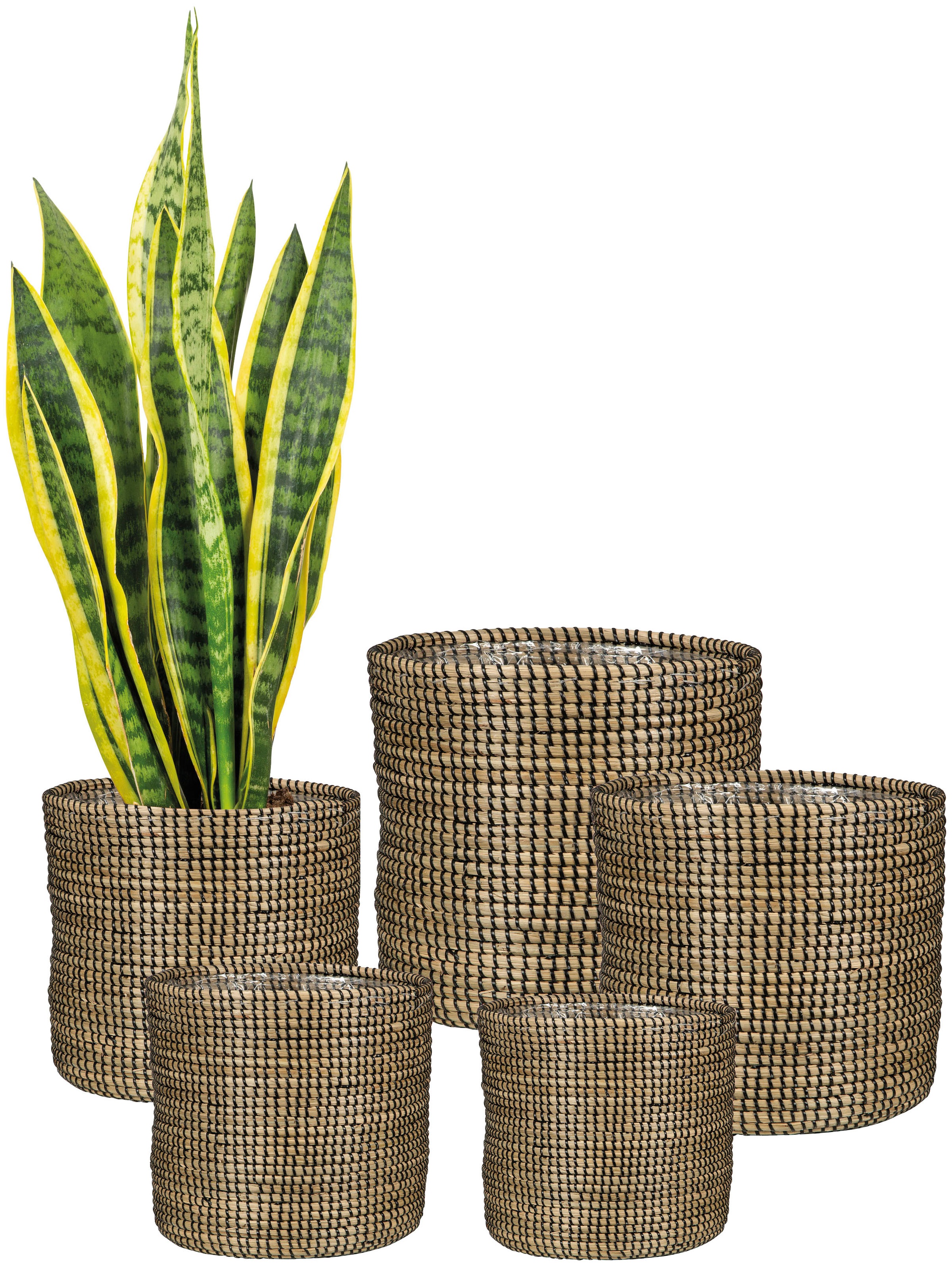 Scheurich Blumentopf »black 24/513«