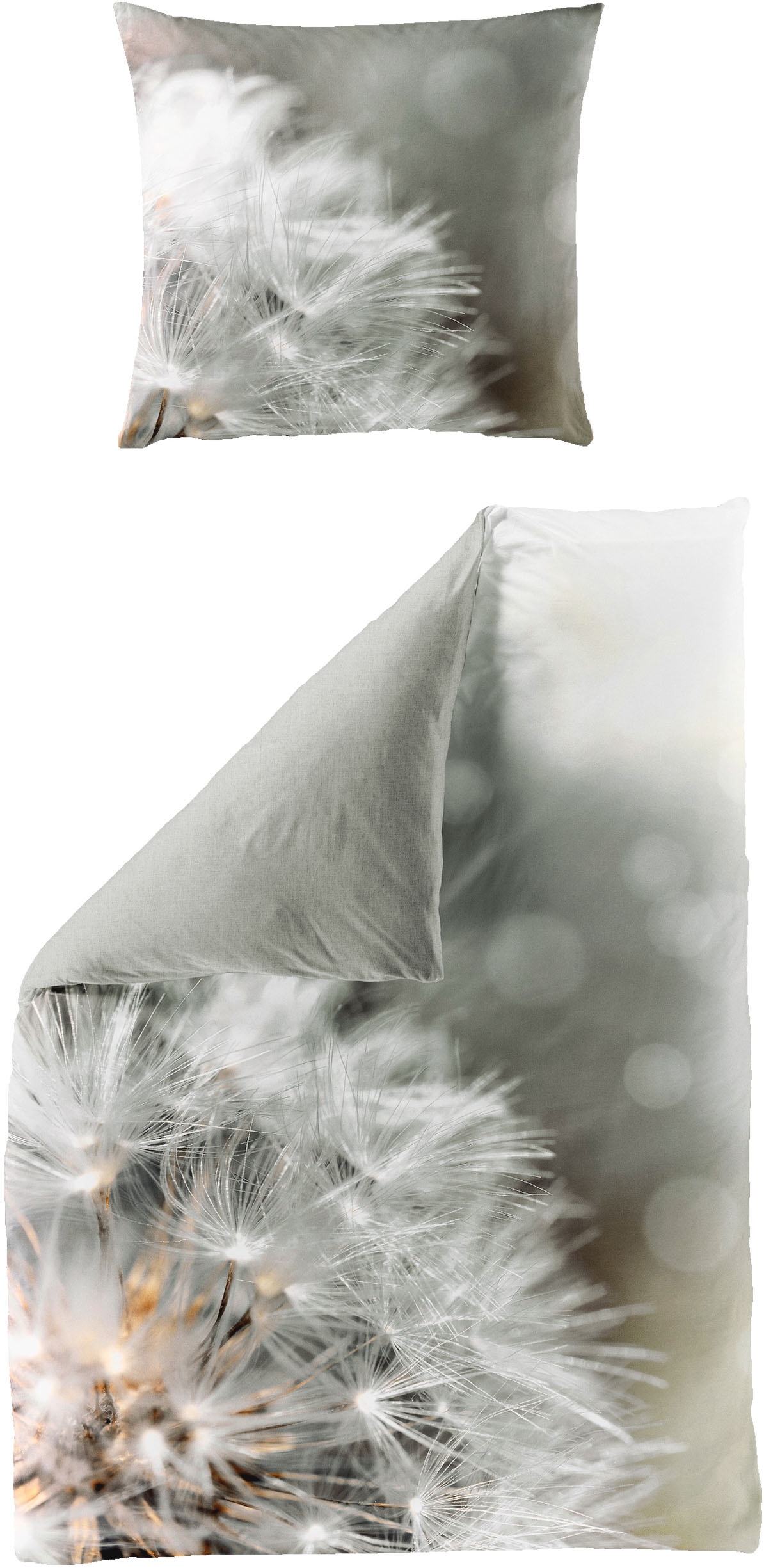 BIERBAUM Bettwäsche "5084" 2 Stk. tlg. Mako-Satin, 100 % Baumwolle, pflegel günstig online kaufen