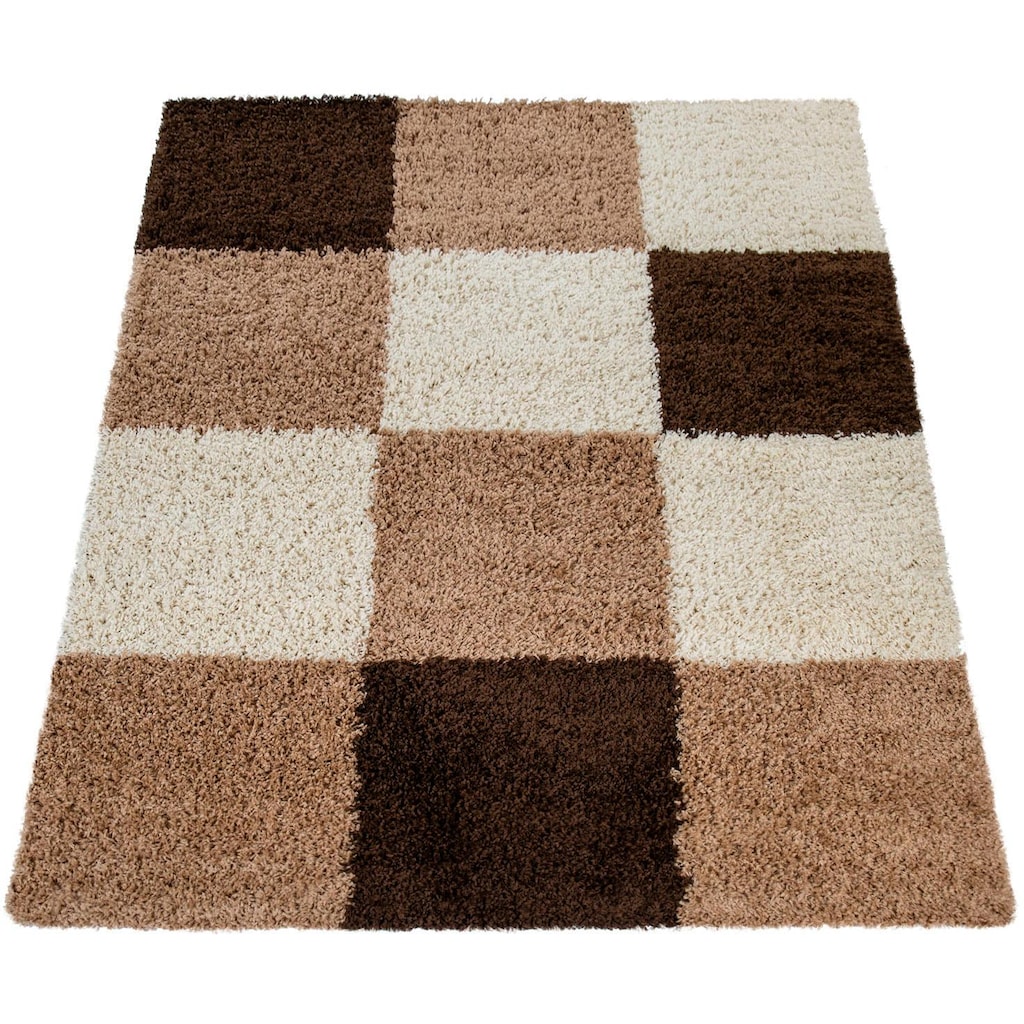 Paco Home Hochflor-Teppich »Mango 316«, rechteckig