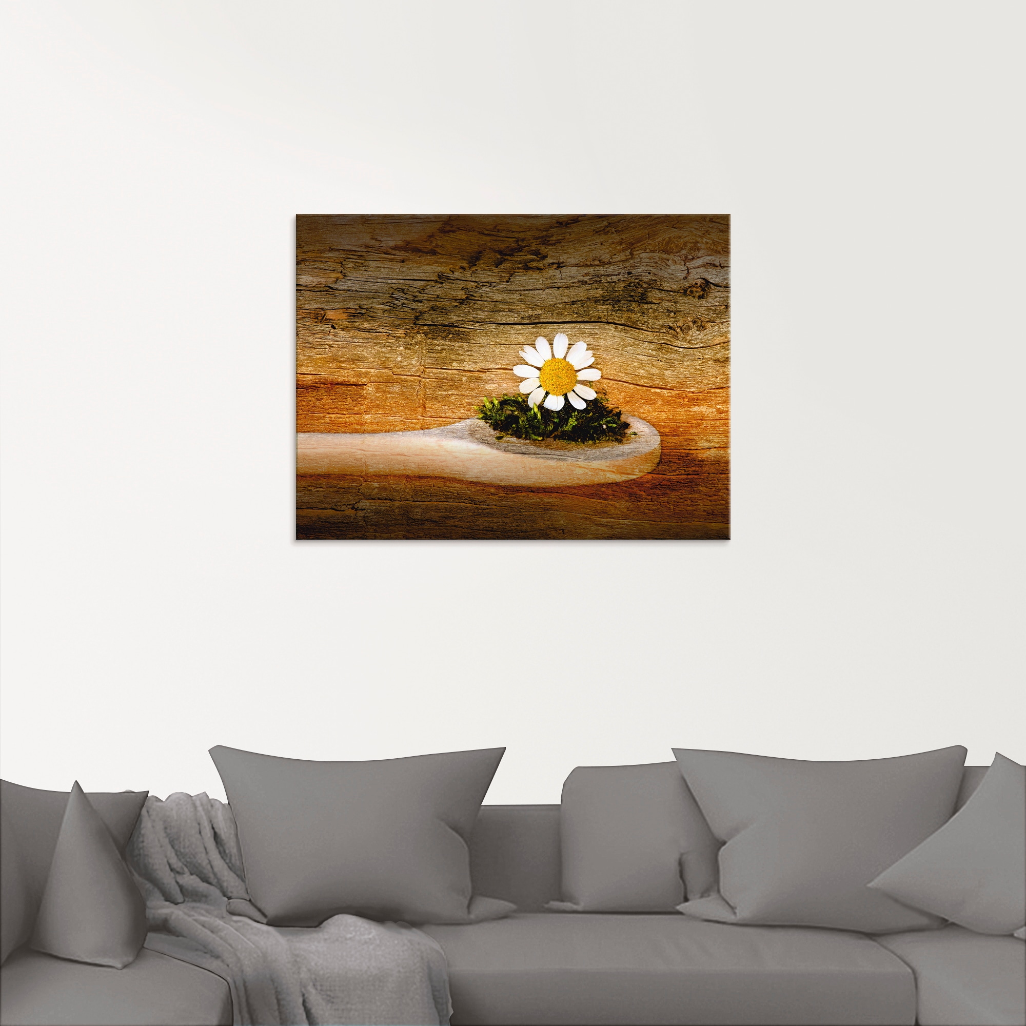 Artland Glasbild »Kamille«, Blumen, (1 St.), in verschiedenen Größen