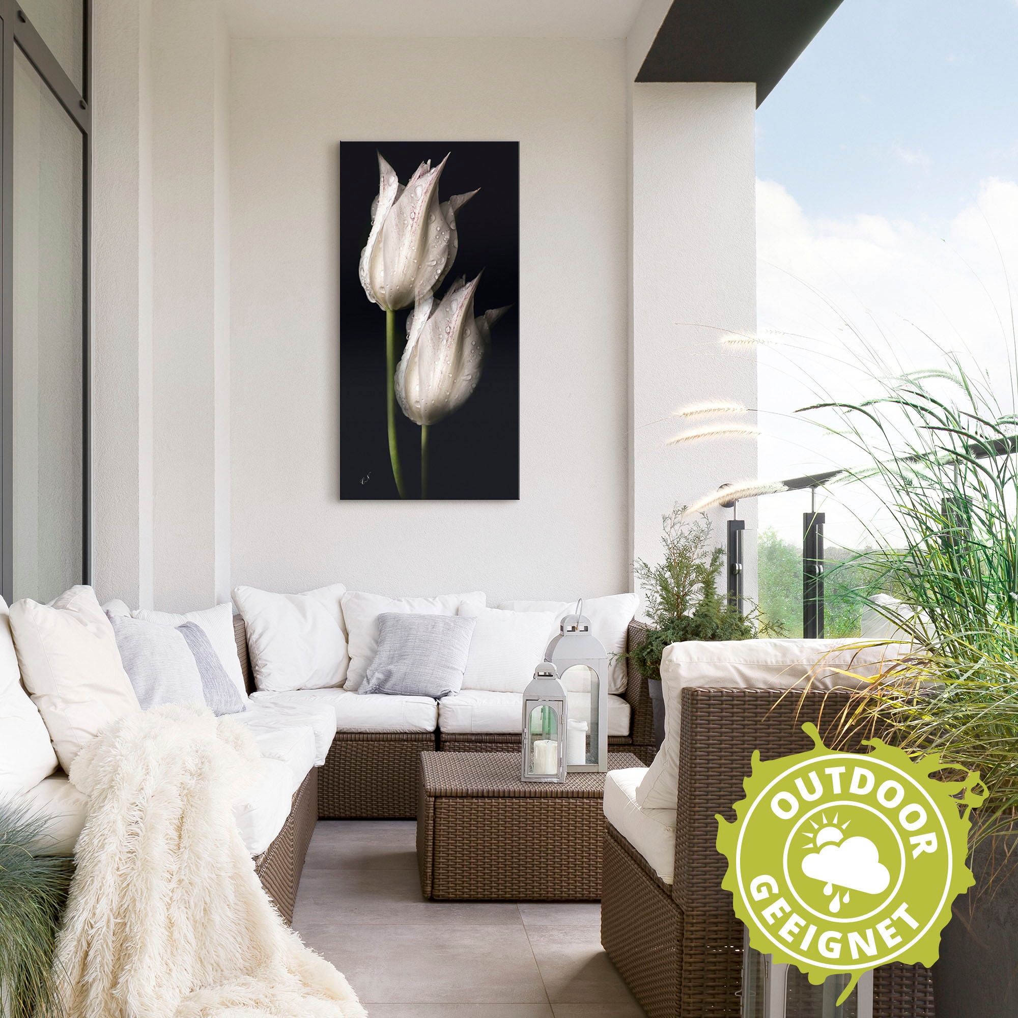 Artland Wandbild »Weiße Tulpen in der Nacht«, Blumenbilder, (1 St.), als Alubild, Outdoorbild, Leinwandbild, Poster, Wandaufkleber