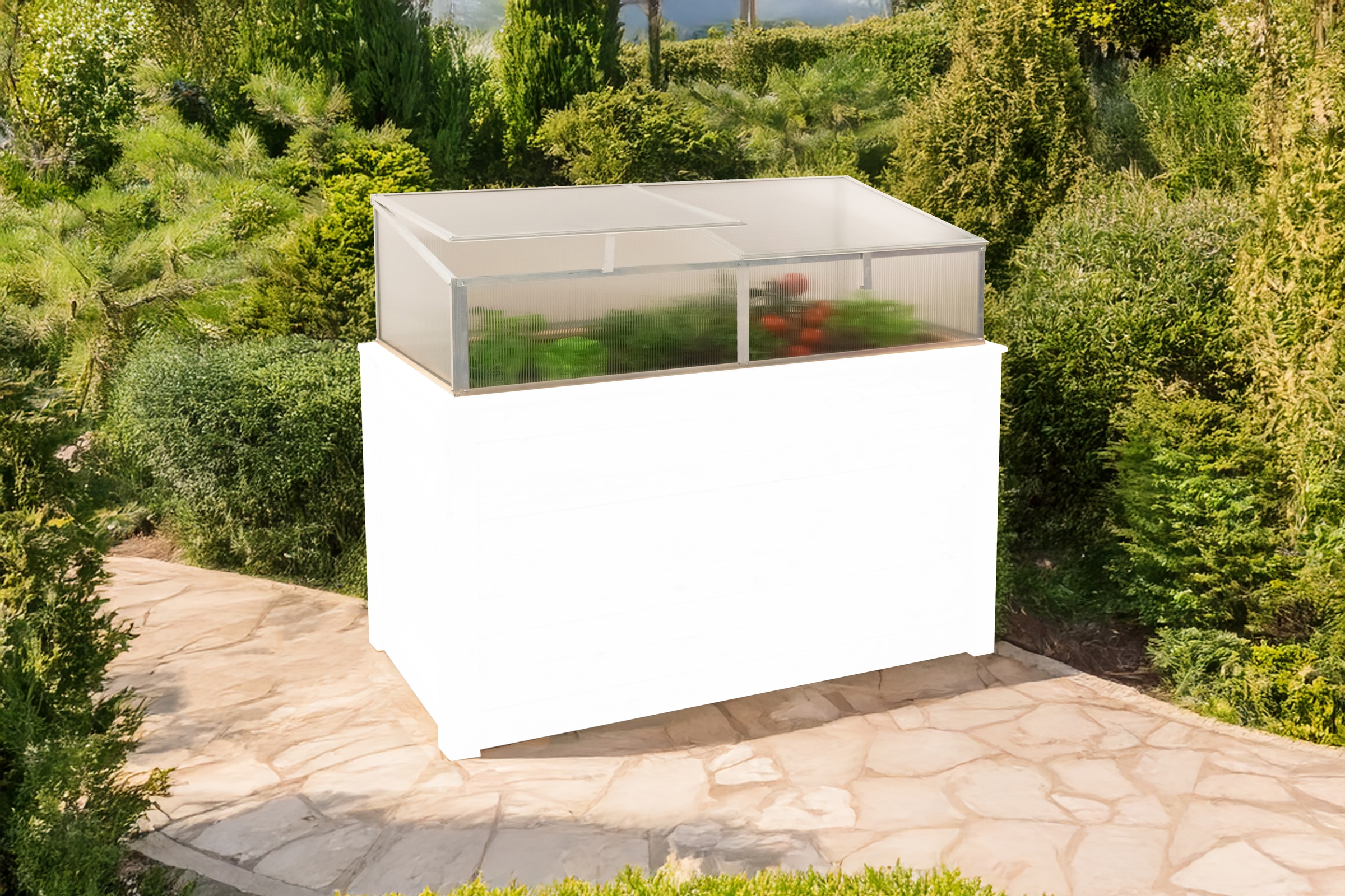 WESTMANN Frühbeetaufsatz »Genus 170« BxTxH: 165x85x41 cm