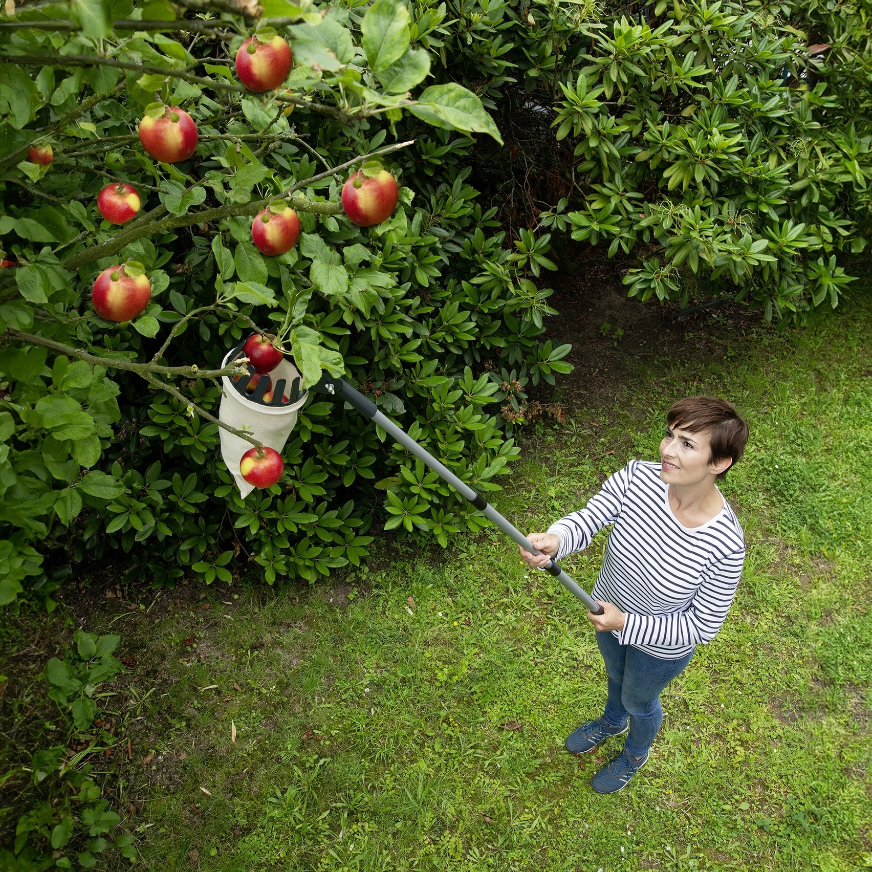 Maximex Obstpflücker »Obstsammler XL« mit Teleskopstiel, 270º-Knickgelenk, ausziehbar von 56 - 122 cm