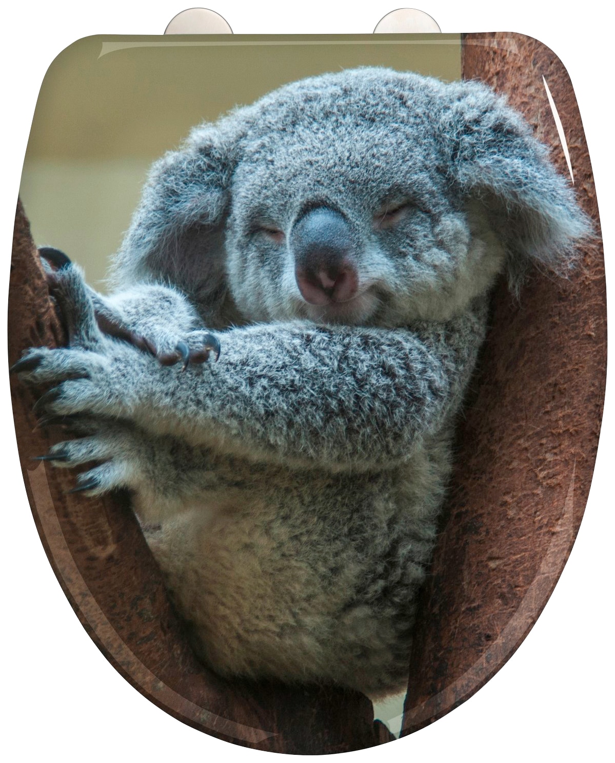 WC-Sitz »Koala«, mit Softclose, aus Duroplast