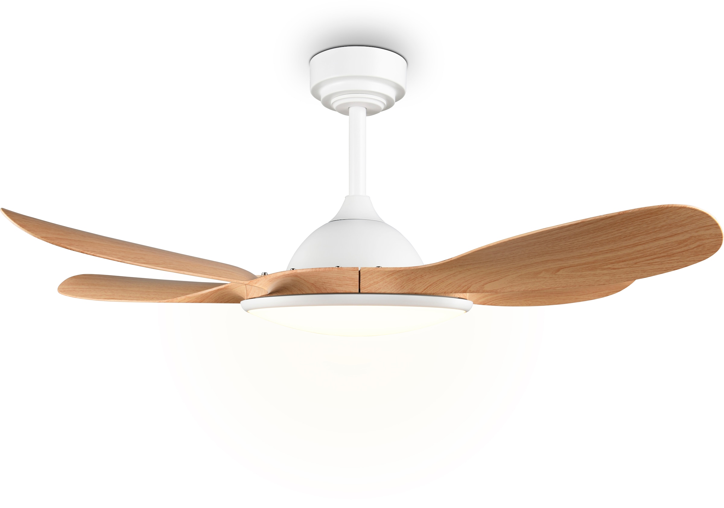 REALITY Leuchten LED Deckenleuchte »FLEN mit Ventilator, großer Deckenventilator Ø 108cm mit 24W LED CCT« LED-Board 1 Stk. Farbwechsler | warmweiß - kaltweiß Fernbedienung 6 Geschwindigkeiten Timer Vor- & Rücklauf dimmbar