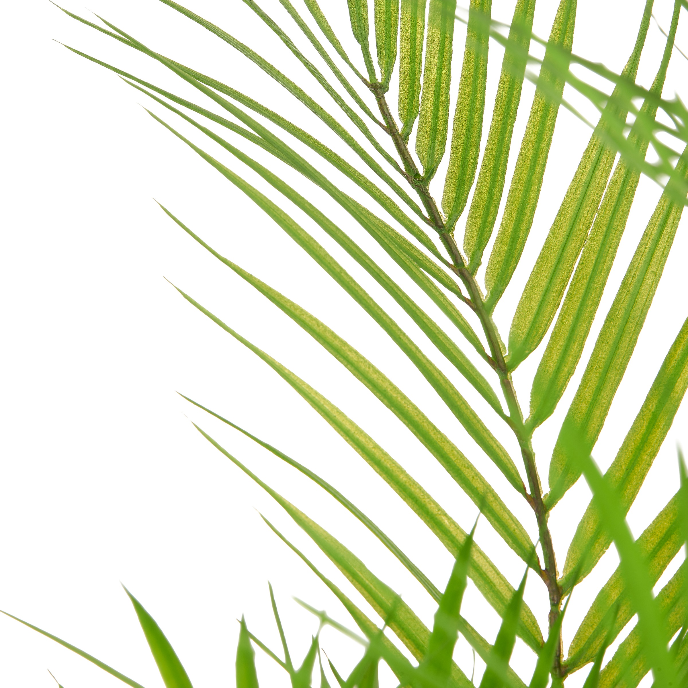 Creativ green Kunstpalme »Goldfruchtpalme« mit naturgetreuen Palmwedeln