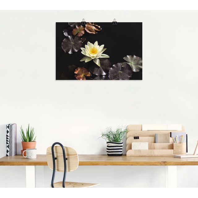 Artland Wandbild »Seerosenbild«, Blumenbilder, (1 St.), als Alubild,  Leinwandbild, Wandaufkleber oder Poster in versch. Größen bestellen | BAUR