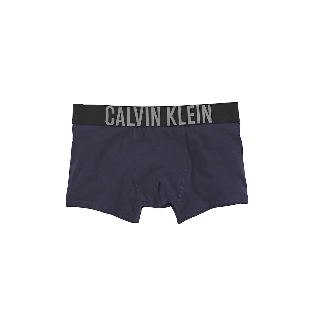 Calvin Klein Underwear Trunk »Intenese Power«, (2 St.)