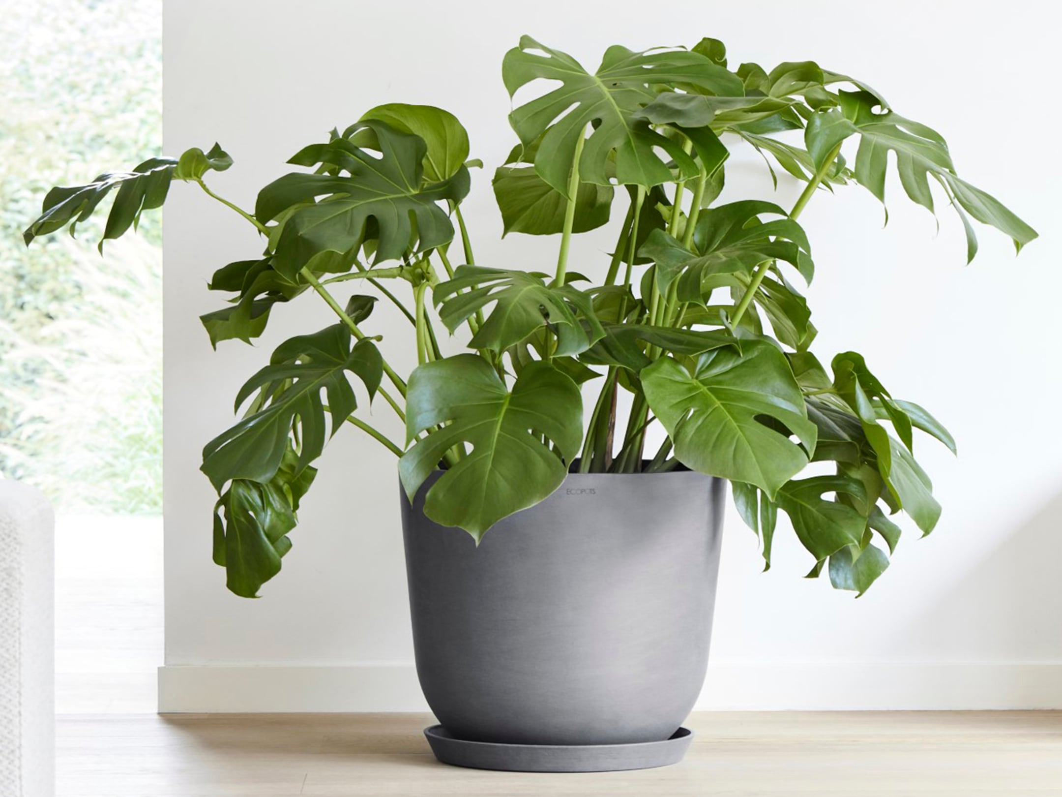 ECOPOTS Blumentopf »Oslo 45 + Wassersystem Grau«, für innen und außen: frostsicher, bruchsicher und lichtbeständig