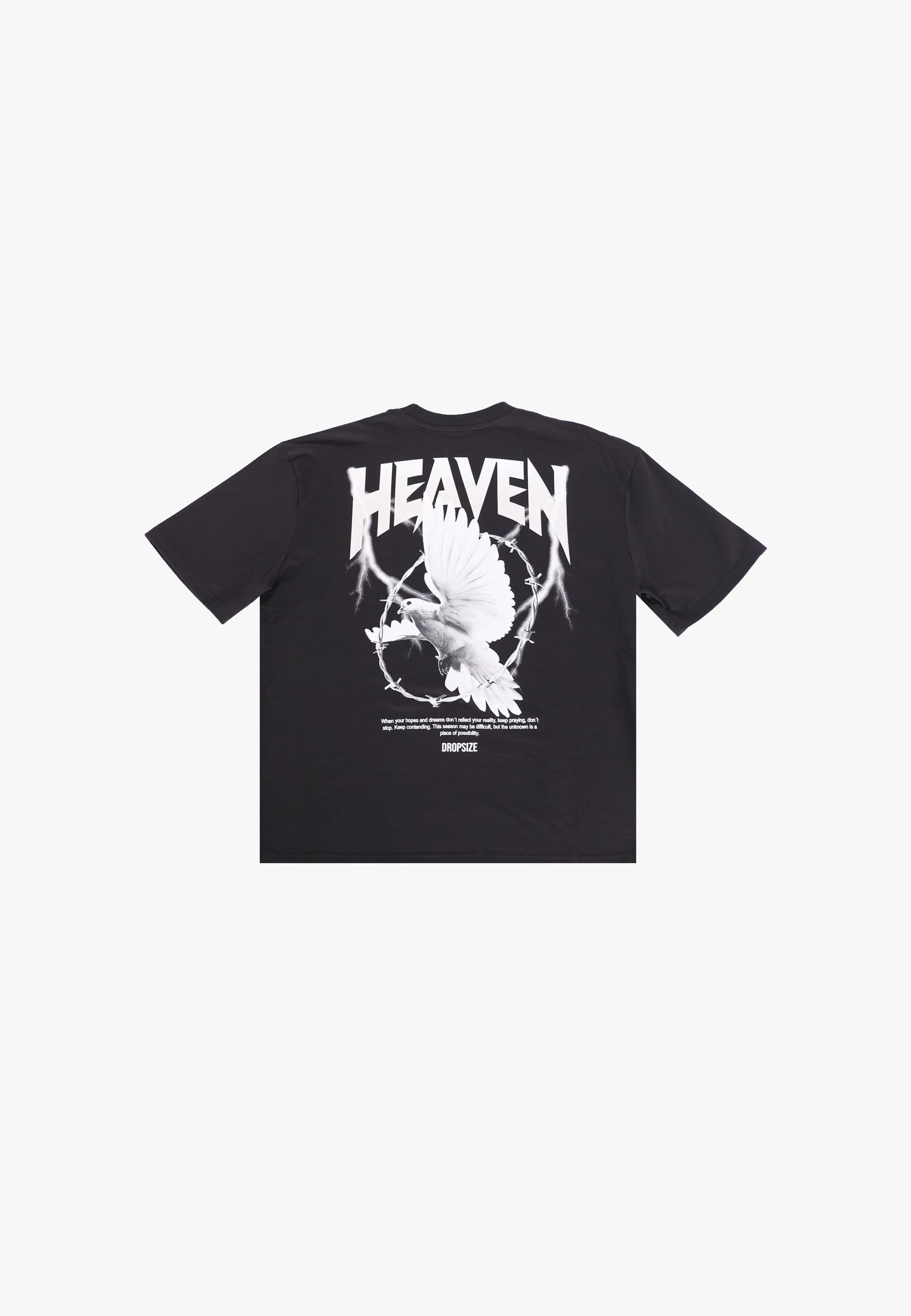 Dropsize T-Shirt "Dropsize HEAVY OVERSIZED HEAVEN DOVE T-SHIRT" 1 Stk. tlg. günstig online kaufen