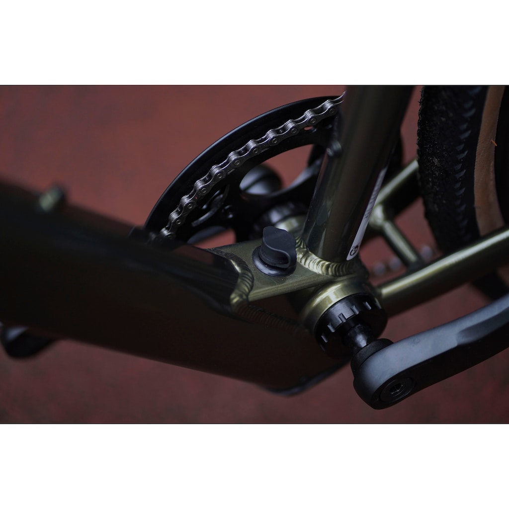 Prophete E-Bike »Graveler 1.0«, 8 Gang, Shimano, Heckmotor 250 W