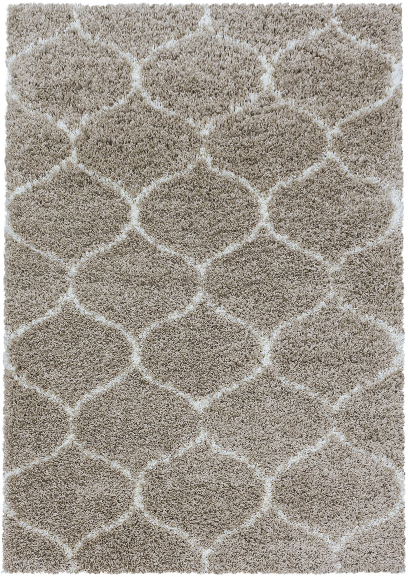 Ayyildiz Teppiche Hochflor-Teppich »SALSA 3201«, rechteckig, 50 mm Höhe, auch in rund, Pflegeleicht / Strapazierfähig / Shaggy/ Wohnzimmer