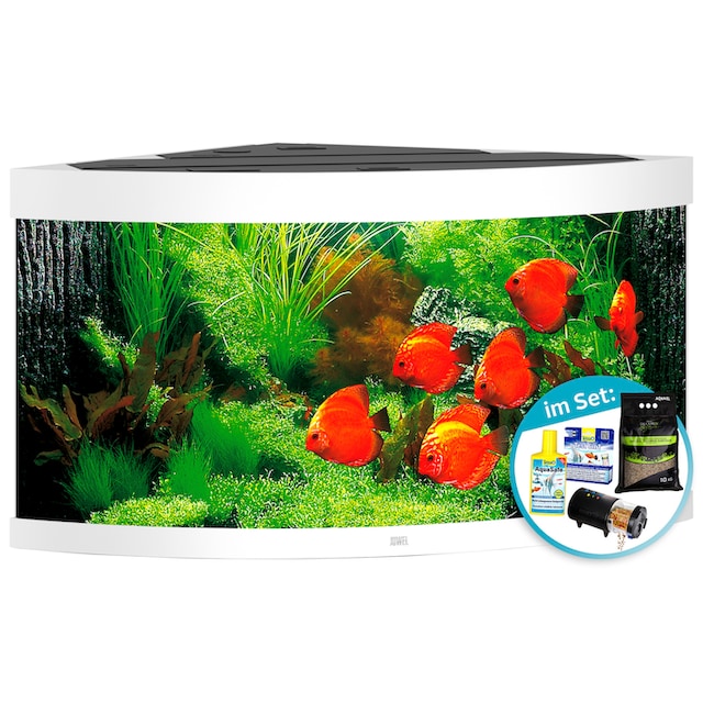 Juwel Aquarien-Set »Trigon 350 LED«, 350 Liter, BxTxH: 123x87x138 cm, inkl.  Starter-Set günstig | BAUR