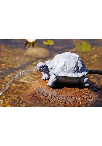 OASE Wasserspeier »Schildkröte«