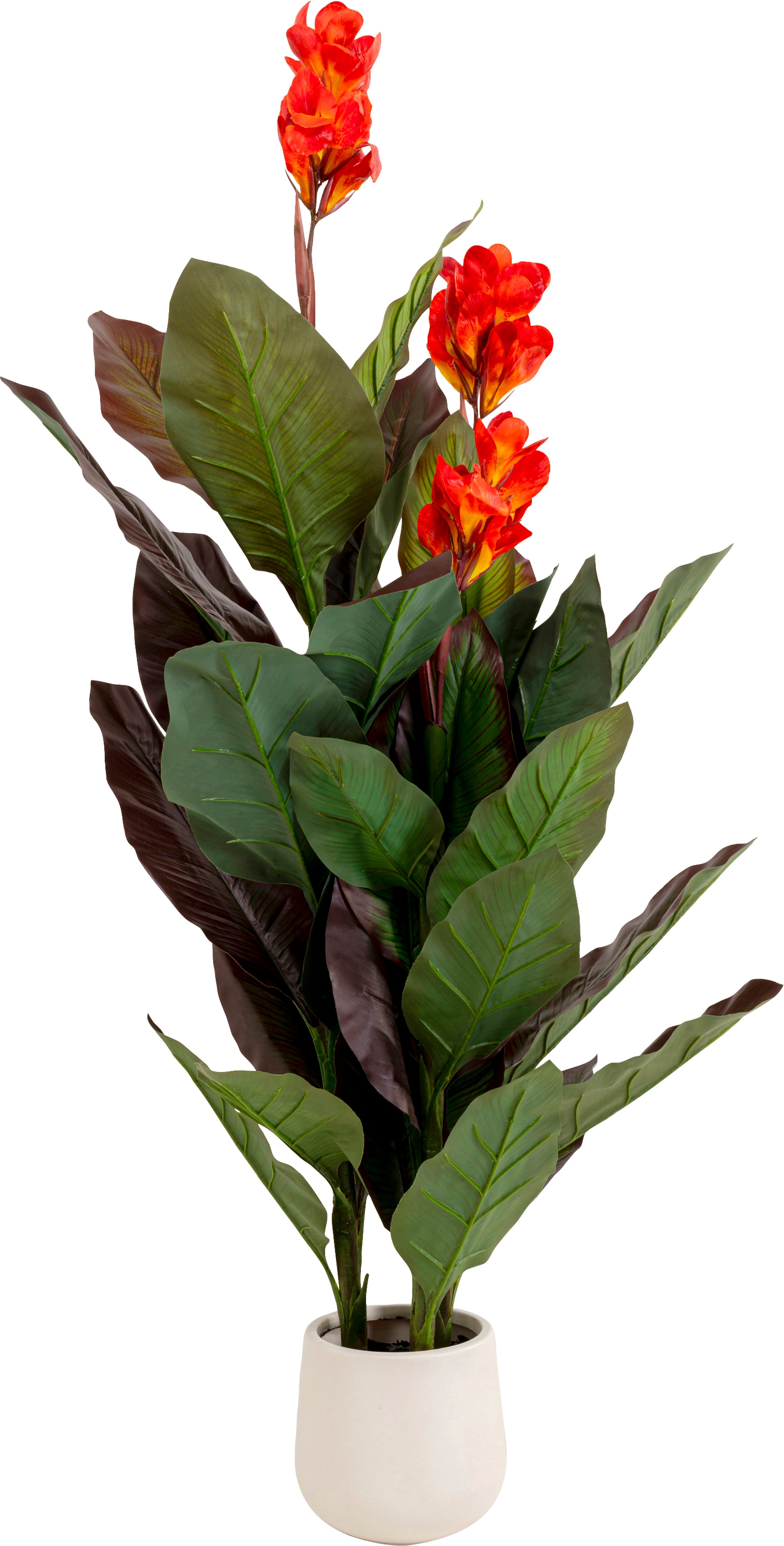 Kare Design "Deko-Pflanze Canna Lily" 115 oder 165 cm Höhe