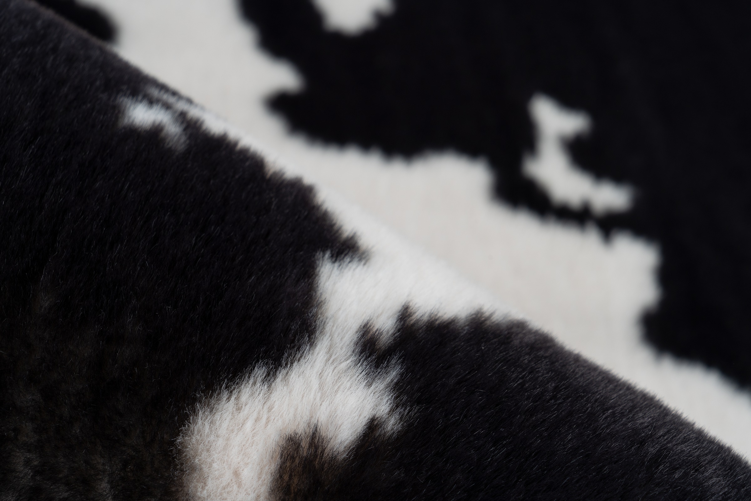 Teppich ARTE ESPINA "Rabbit Animal 500", schwarz-weiß (schwarz, weiß), B:160cm H:30mm L:230cm, Mikropolyester, Teppiche, Teppich, Kuscheliger Hochflorteppich, per Hand getuftet, mit Baumwollrücken 3
