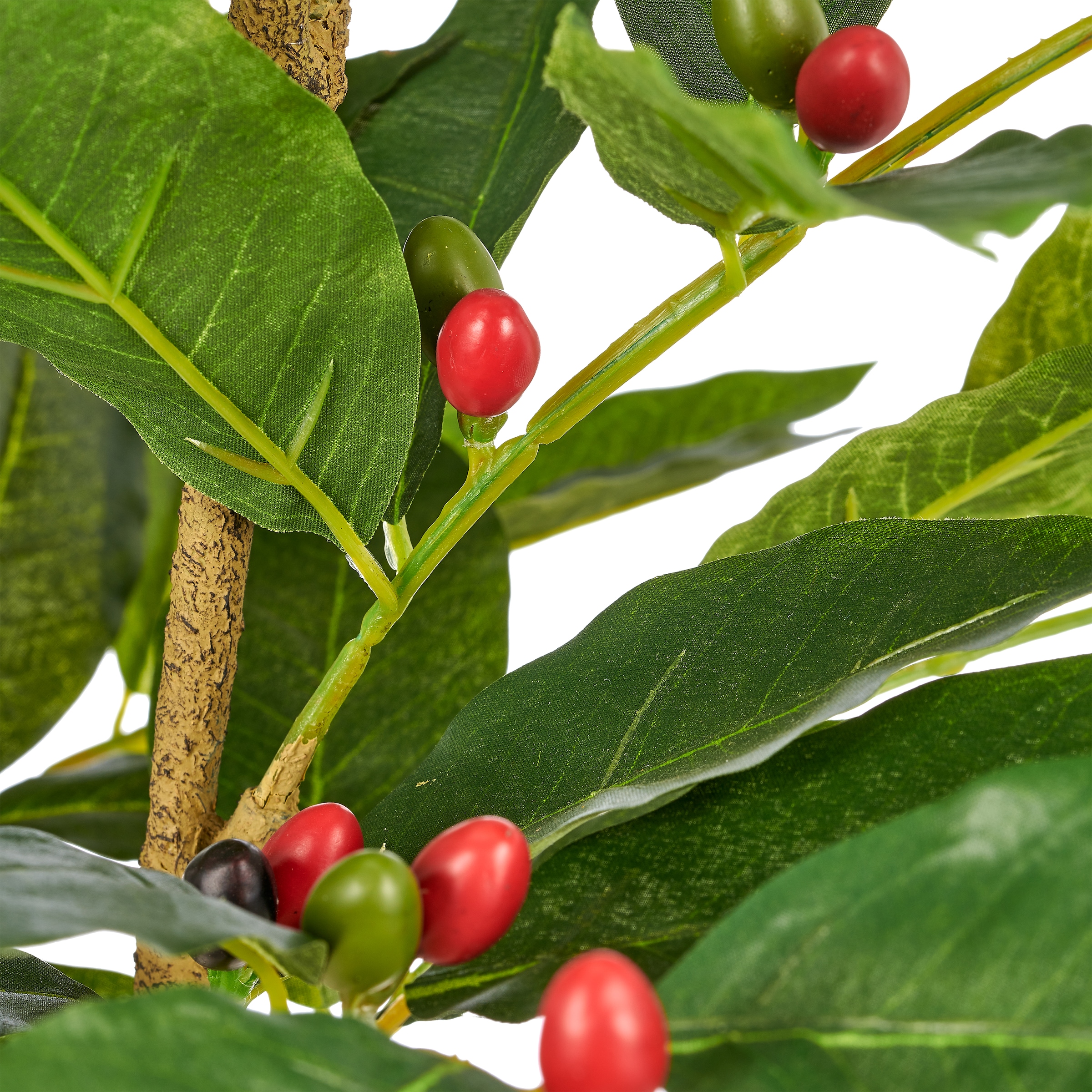 Creativ green Kunstbaum »Coffea« mit Deko-Früchten
