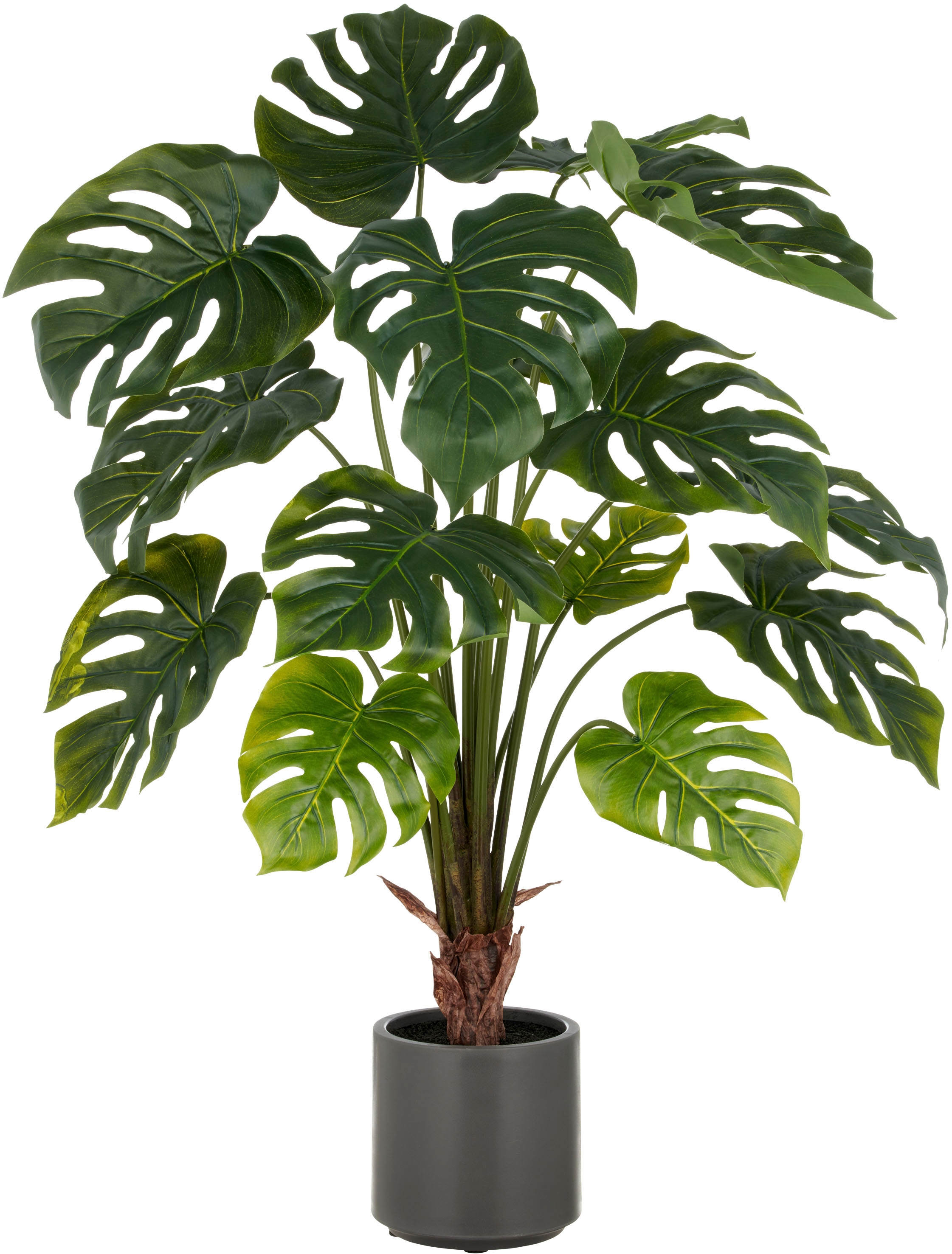 Creativ green Kunstpflanze "Splitphilodendron", mit naturgetreuem Blattwerk günstig online kaufen