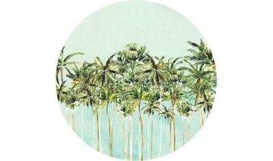 Fototapete »Coconut Trees«