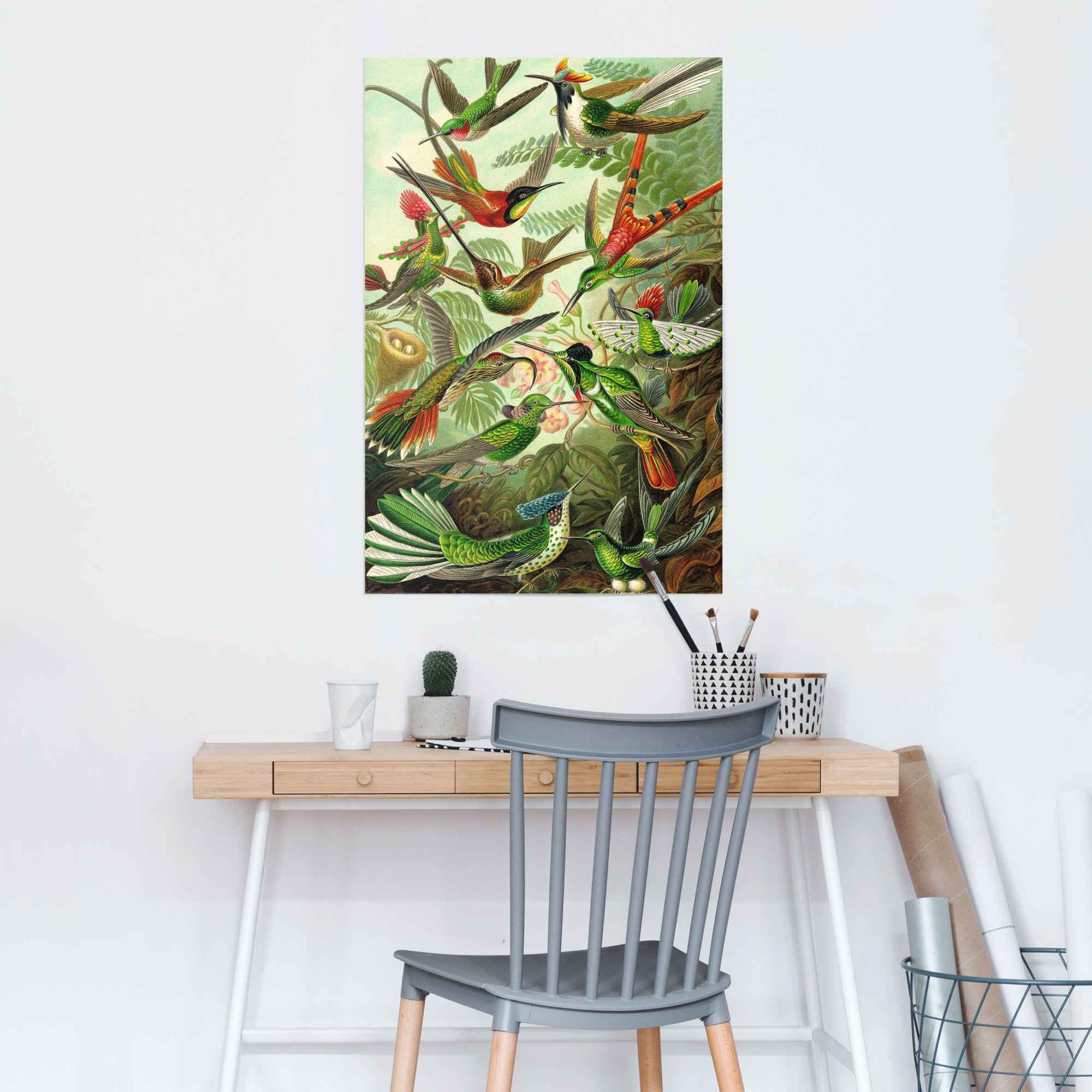 Reinders Poster "Hummingbirds Vogel - Tiermotiv - Natur - Botanisch - Ernst günstig online kaufen