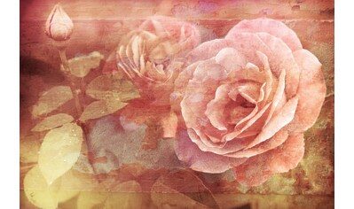 Fototapete »Vintage Florals«