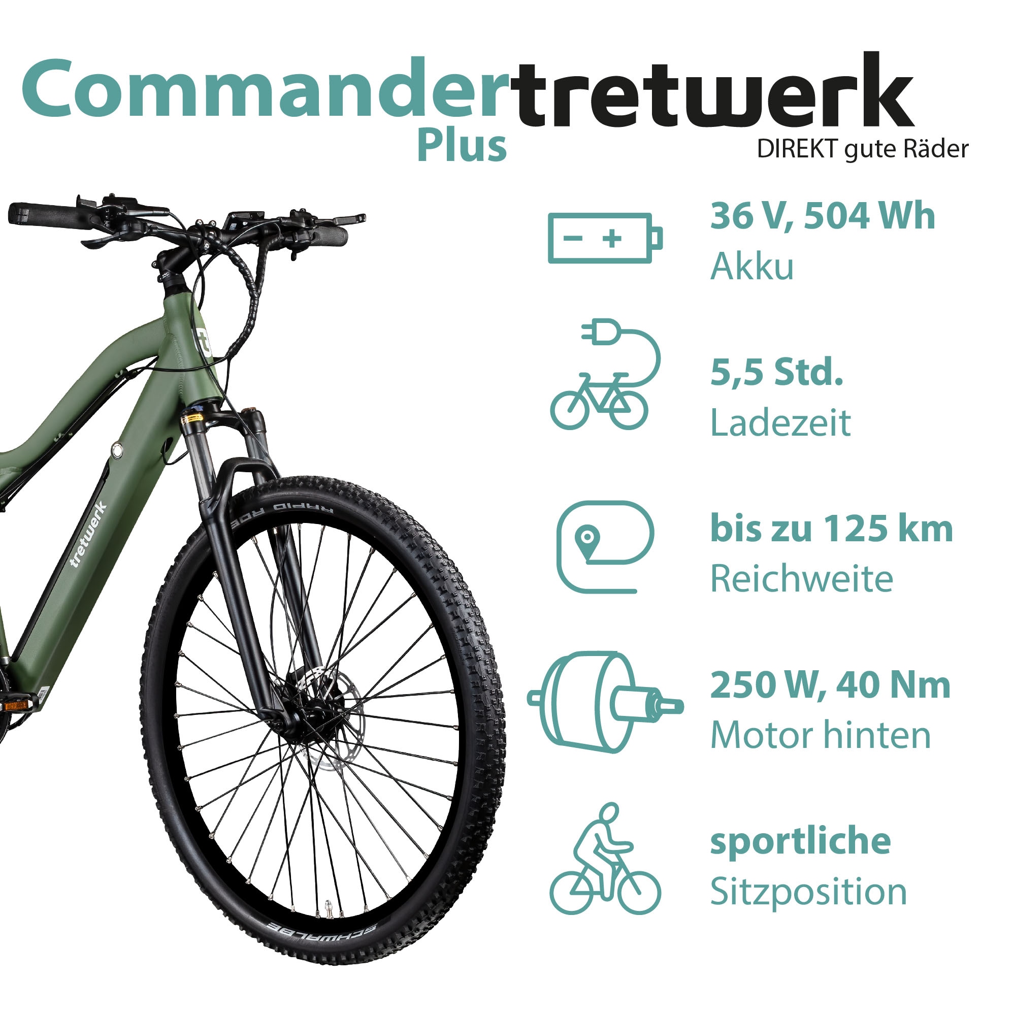 Tretwerk E-Bike »Commander Plus«, 24 Gang, Shimano, Altus M310, Heckmotor 250 W