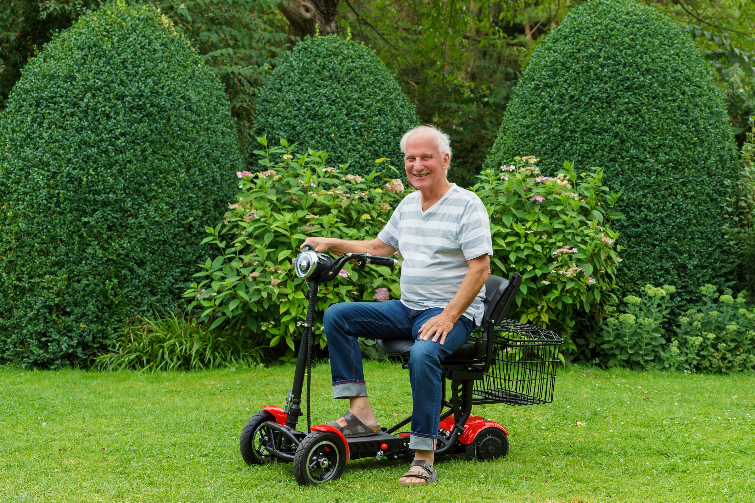 ECONELO E-Motorroller »Seniorenmobil FOLDY«