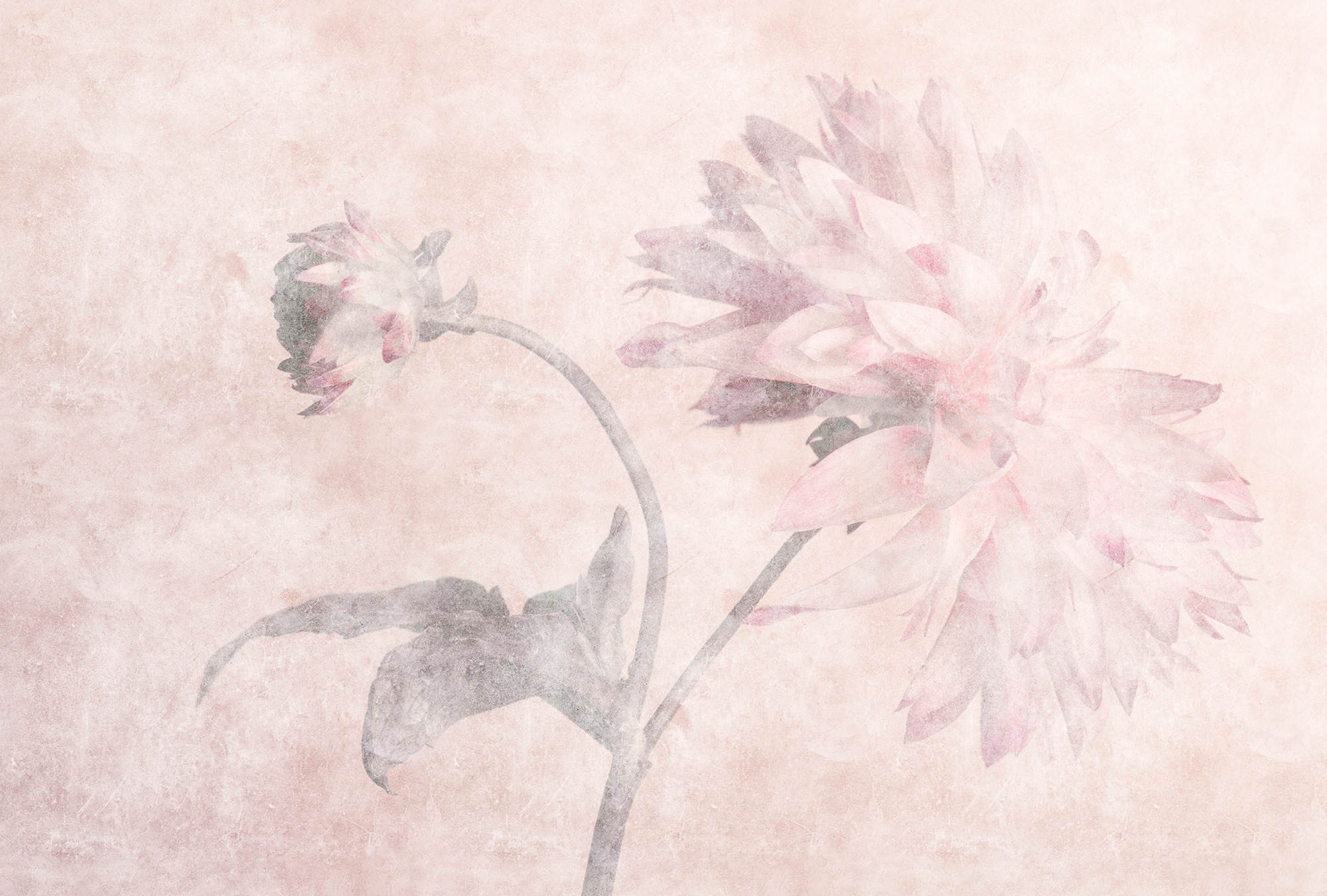 living walls Fototapete "Walls by Patel Morning Room" glatt Vlies, Wand günstig online kaufen