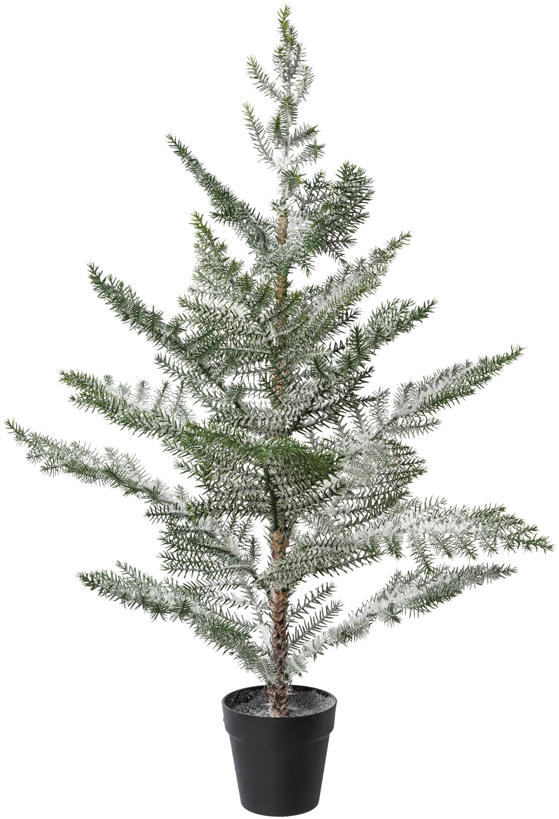 my home Dekobaum »Janosch, Weihnachtsdeko«, Fichtenstamm mit beschneiten  Zweigen auf Holzsockel kaufen | BAUR