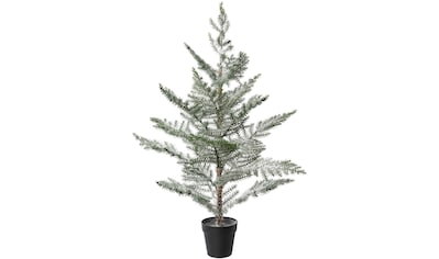 my home Dekobaum »Janosch, Weihnachtsdeko«, Fichtenstamm mit beschneiten  Zweigen auf Holzsockel kaufen | BAUR