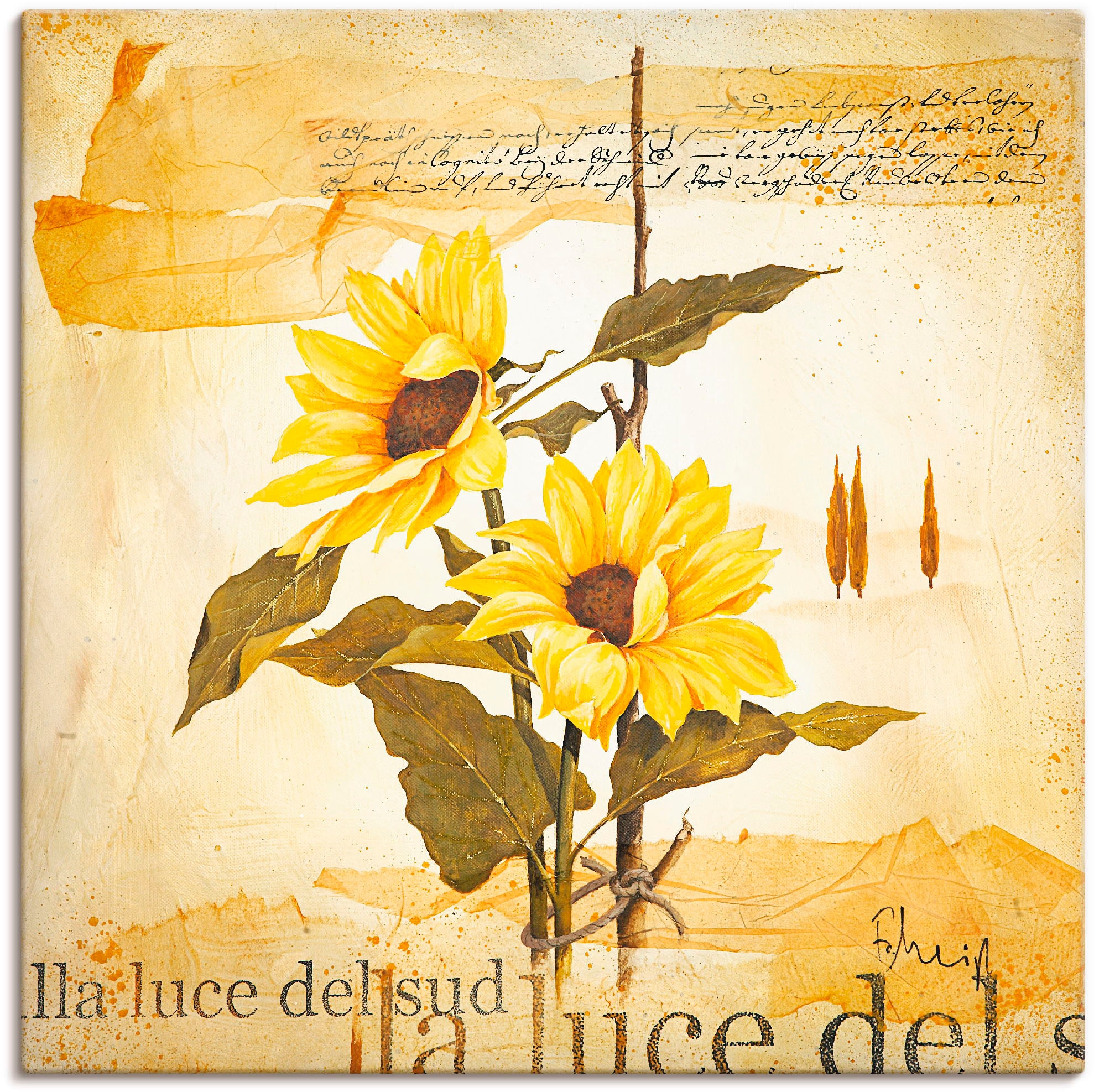 Artland Wandbild »Licht des oder Blumen, als (1 Leinwandbild, | versch. in Wandaufkleber Größen Südens«, BAUR Poster St.), kaufen