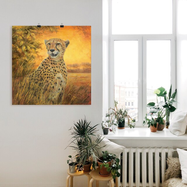 in (1 | BAUR Größen »Porträt versch. als St.), Wandaufkleber Wandbild Artland Poster Geparden oder Leinwandbild, Alubild, Bilder, Gepard«, bestellen
