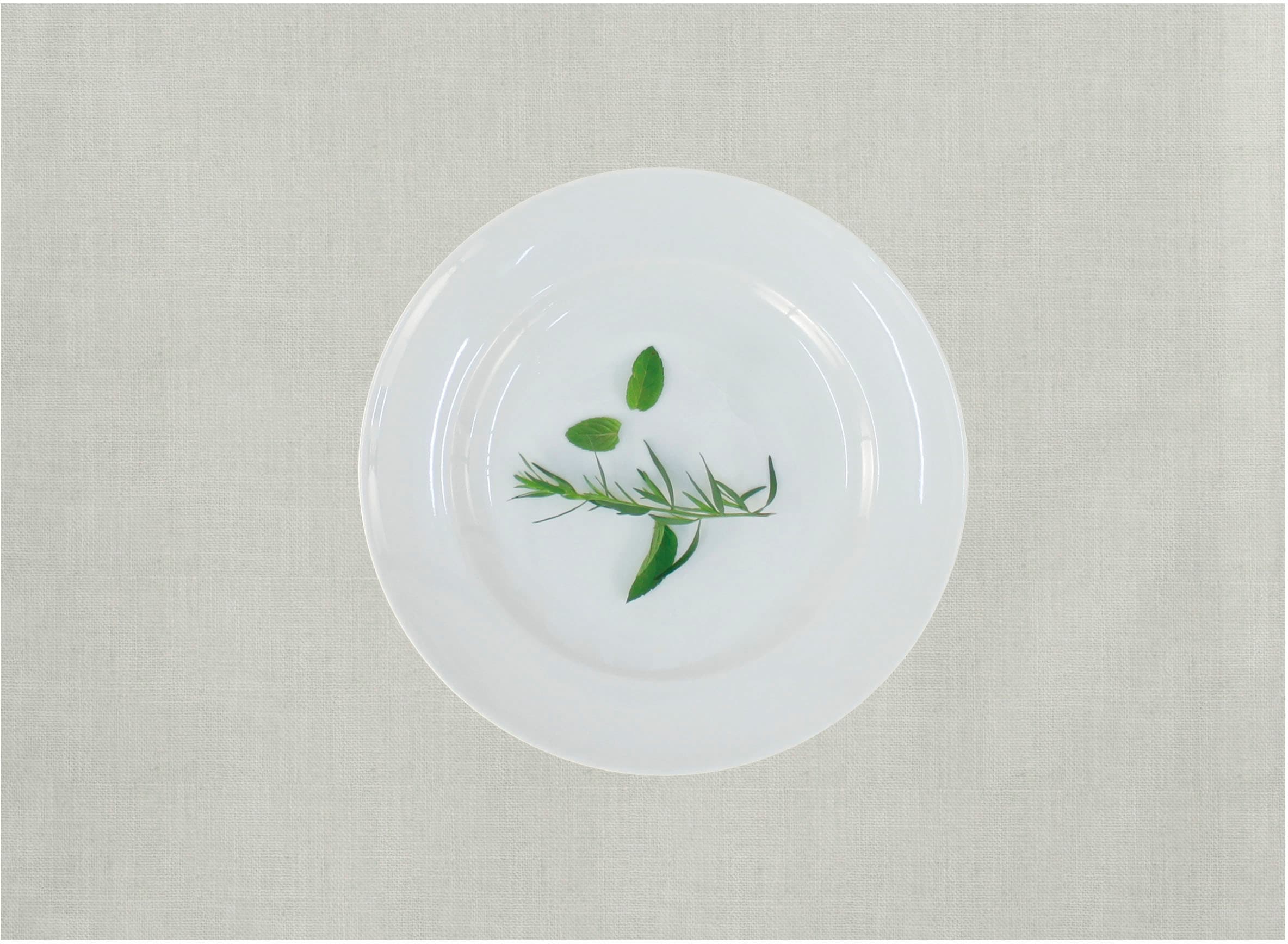 APELT Platzset "Arizona, Uni-Basic" Leinenoptik günstig online kaufen