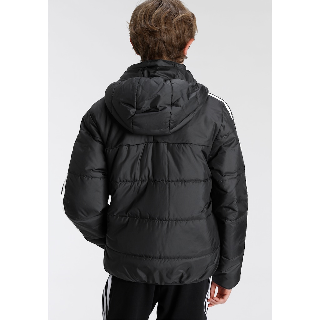 adidas Originals Outdoorjacke »ADICOLOR«