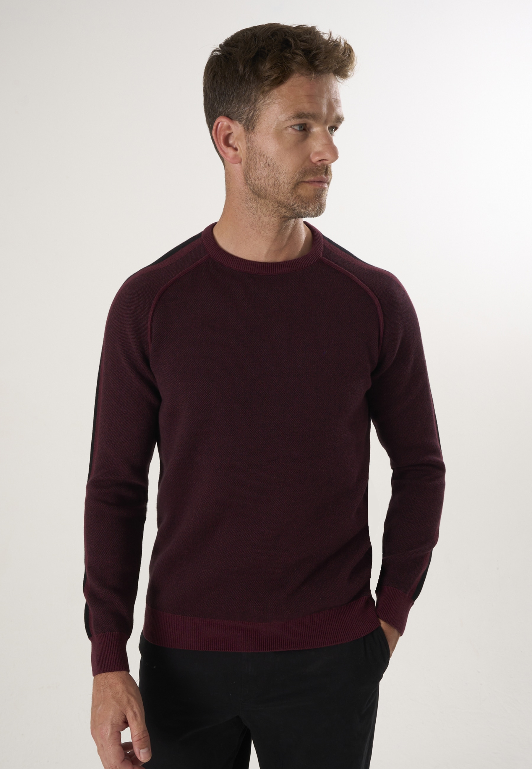 Felix Hardy Rundhalspullover "Basic-Pullover mit Rundhalsausschnitt"