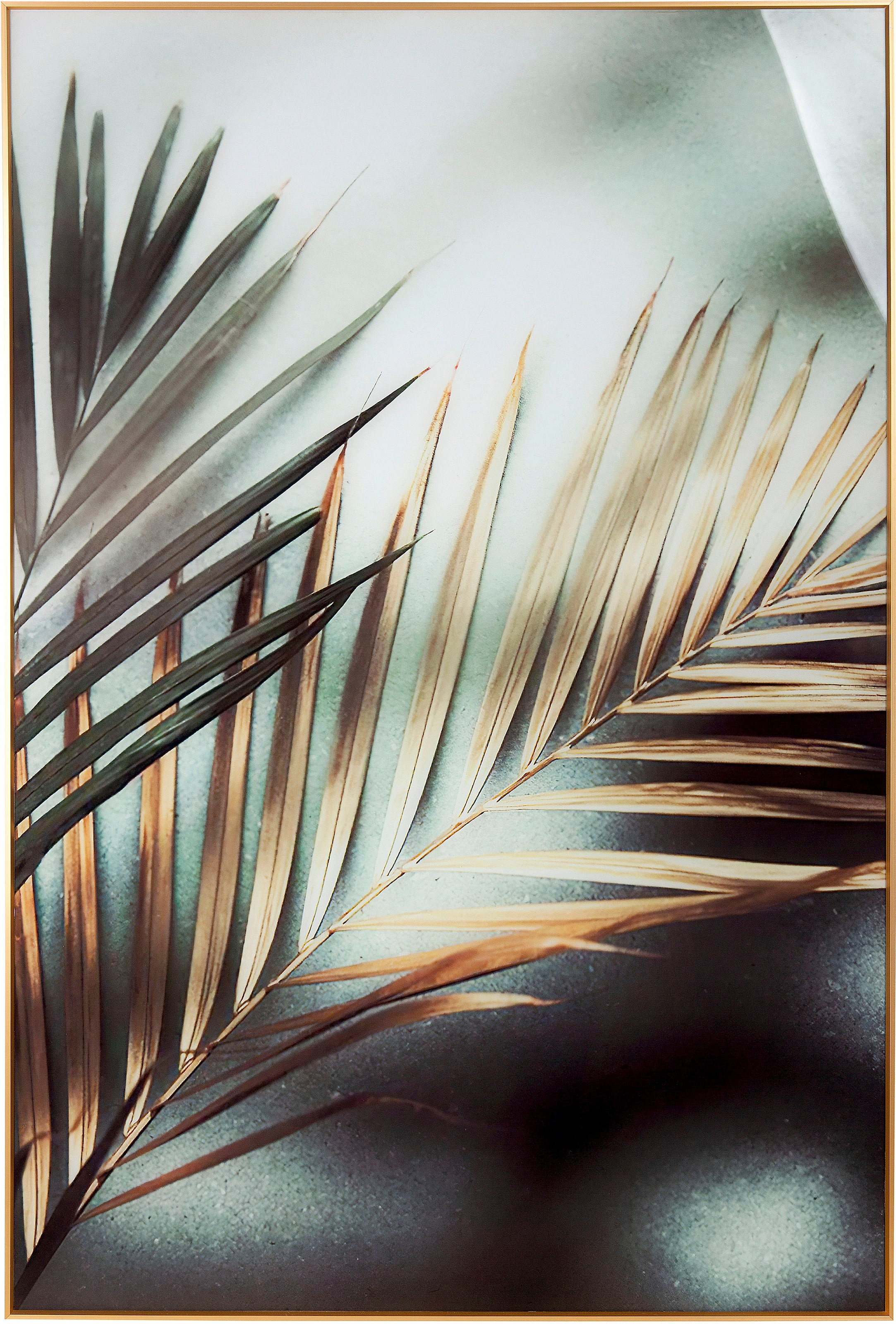 Casablanca by Gilde Acrylglasbild »Bild Goldener Farn«, (1 St.)