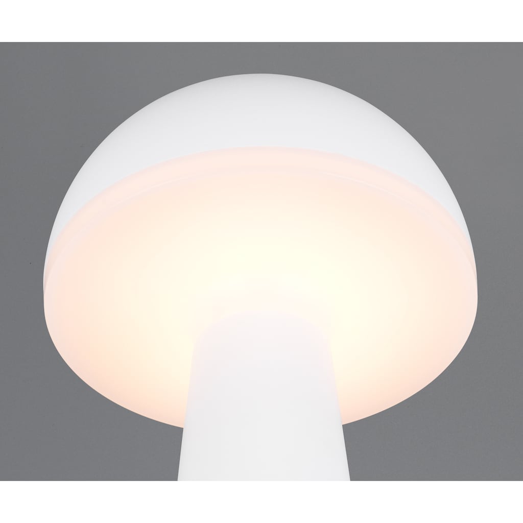 TRIO Leuchten LED Außen-Tischleuchte »FUNGO«, 1 flammig-flammig
