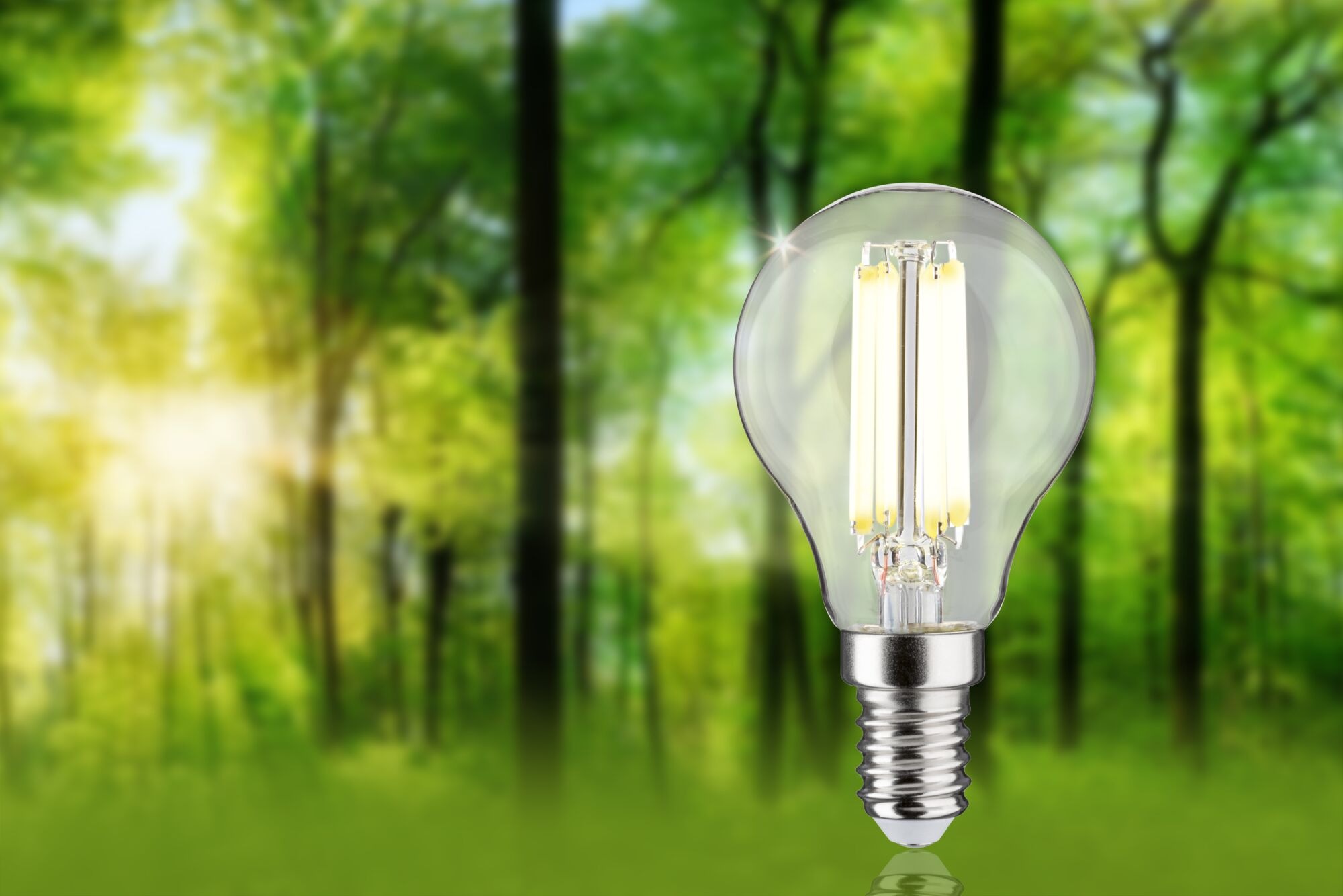 Paulmann LED-Leuchtmittel »Eco-Line Filament 230V LED Tropfen E14 1er-Set 525lm 2,5W 4000K Klar«, E14, 1 St., Neutralweiß