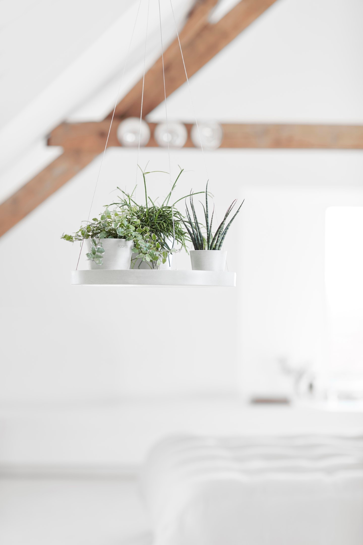 ECOPOTS Topfuntersetzer »hängend 36 Weiß« für innen und außen: frostsicher, bruchsicher und lichtbeständig