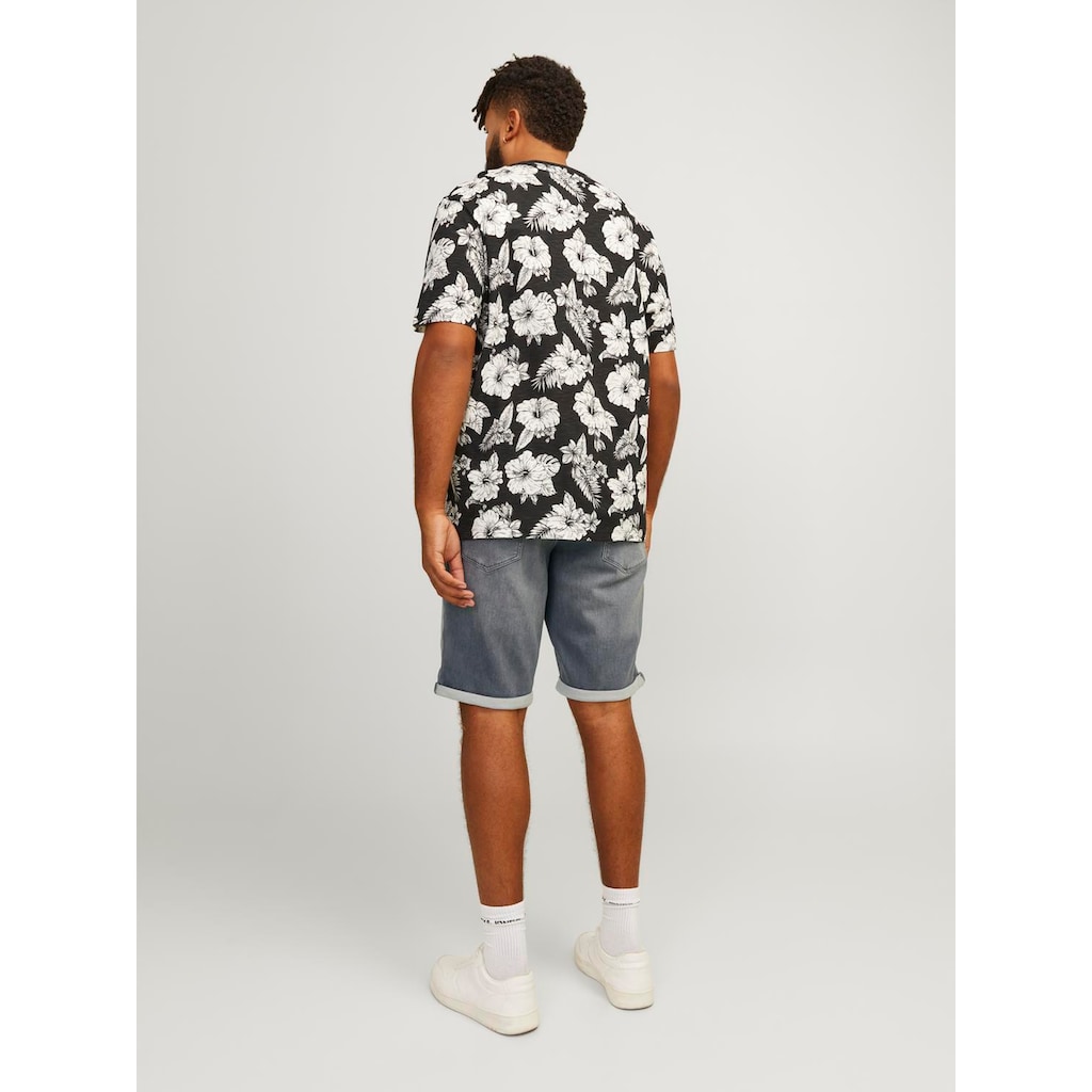 Jack & Jones PlusSize Shorts »JJIRICK JJICON SHORTS GE 370 I.K SN PLS«